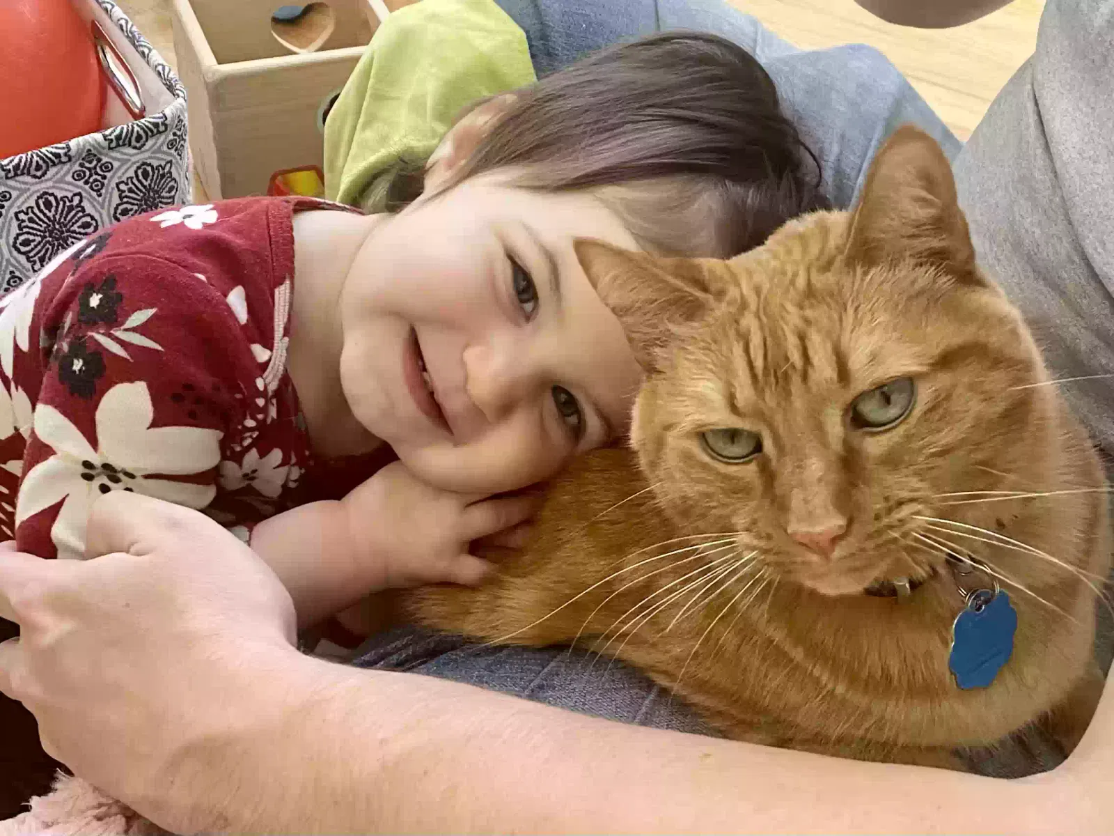 Lost cat in Marietta, GA, 30067