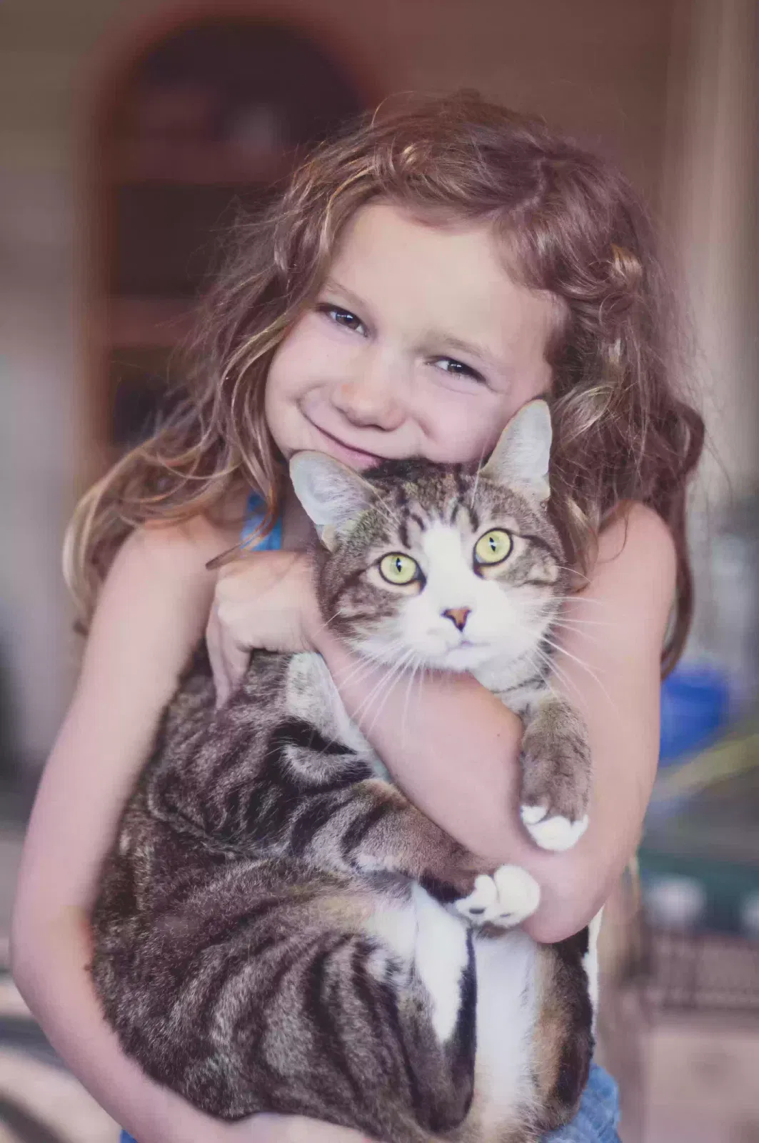 Lost cat in Atlanta, GA, 30316