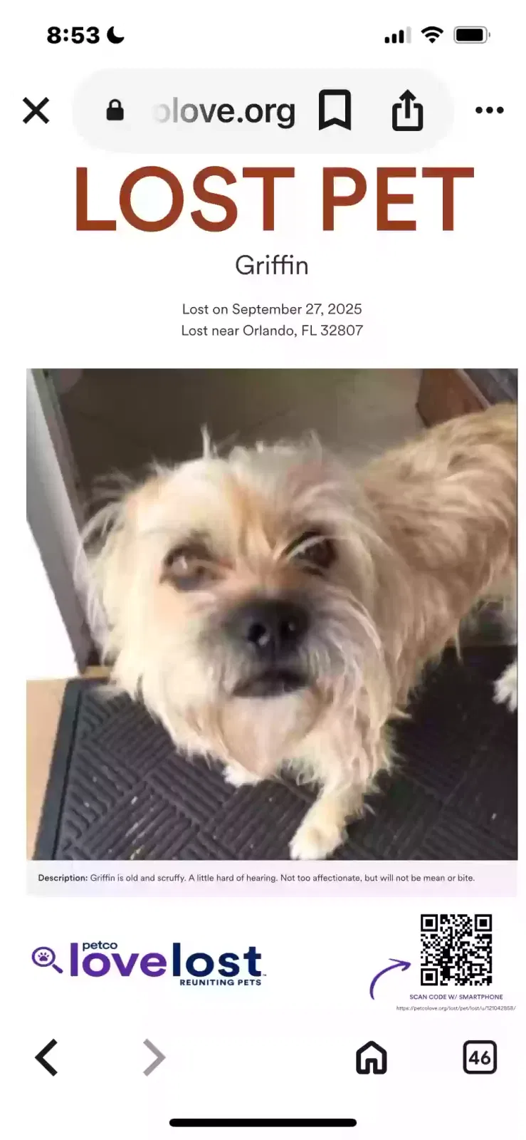 Lost dog in Orlando, FL, 32807