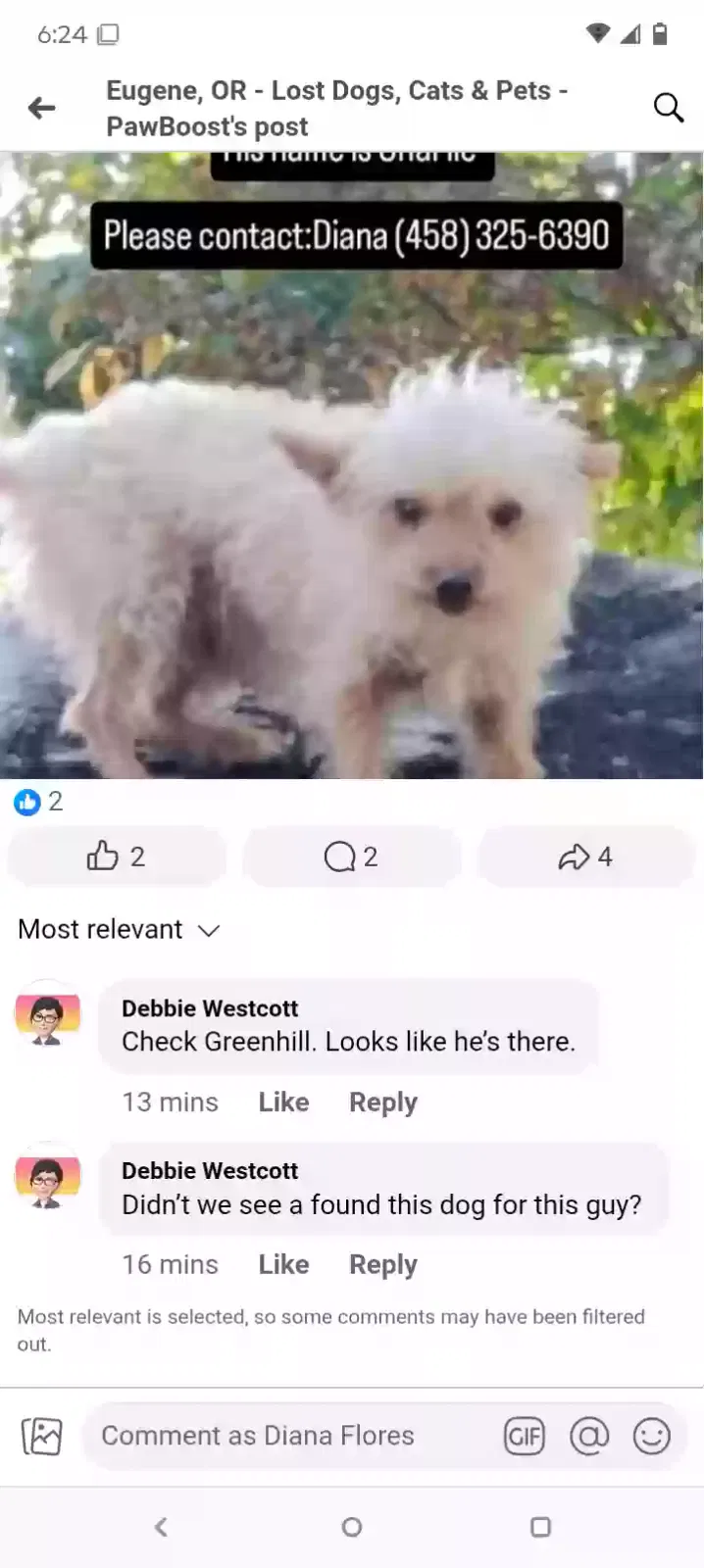 Lost dog in Eugene, OR, 97402