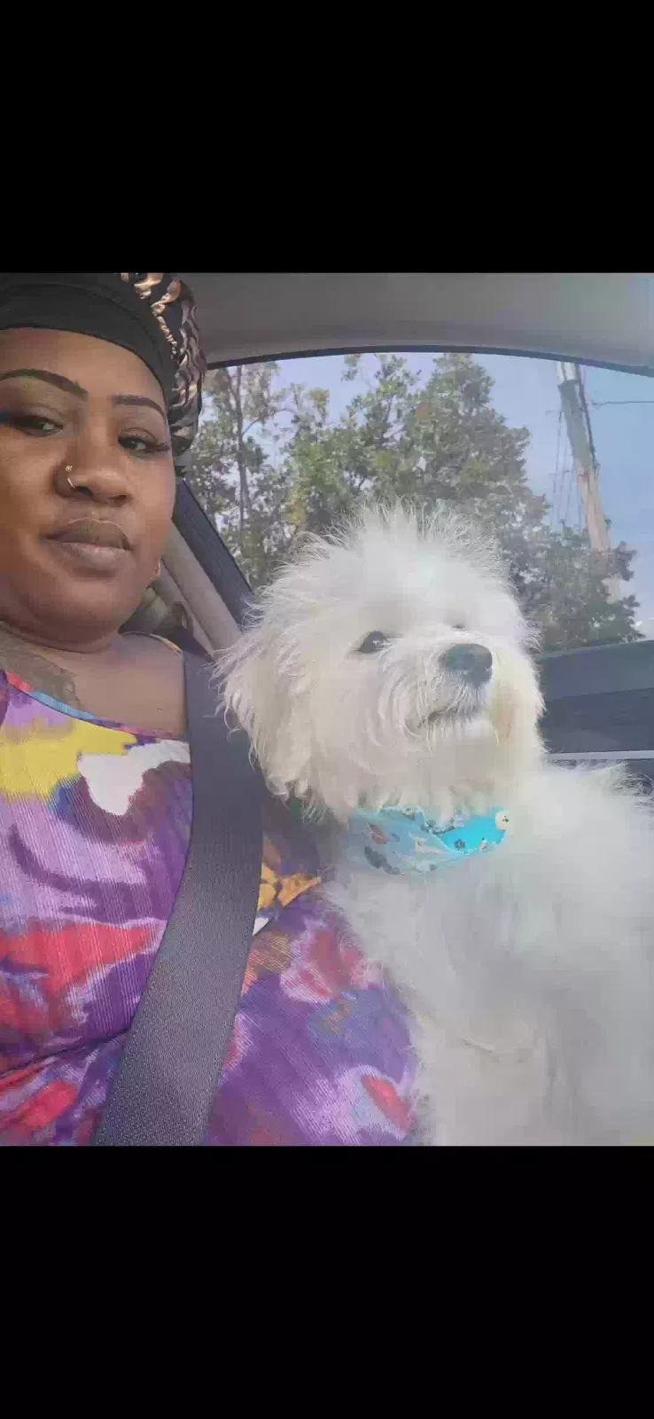 Lost dog in Jacksonville, FL, 32256