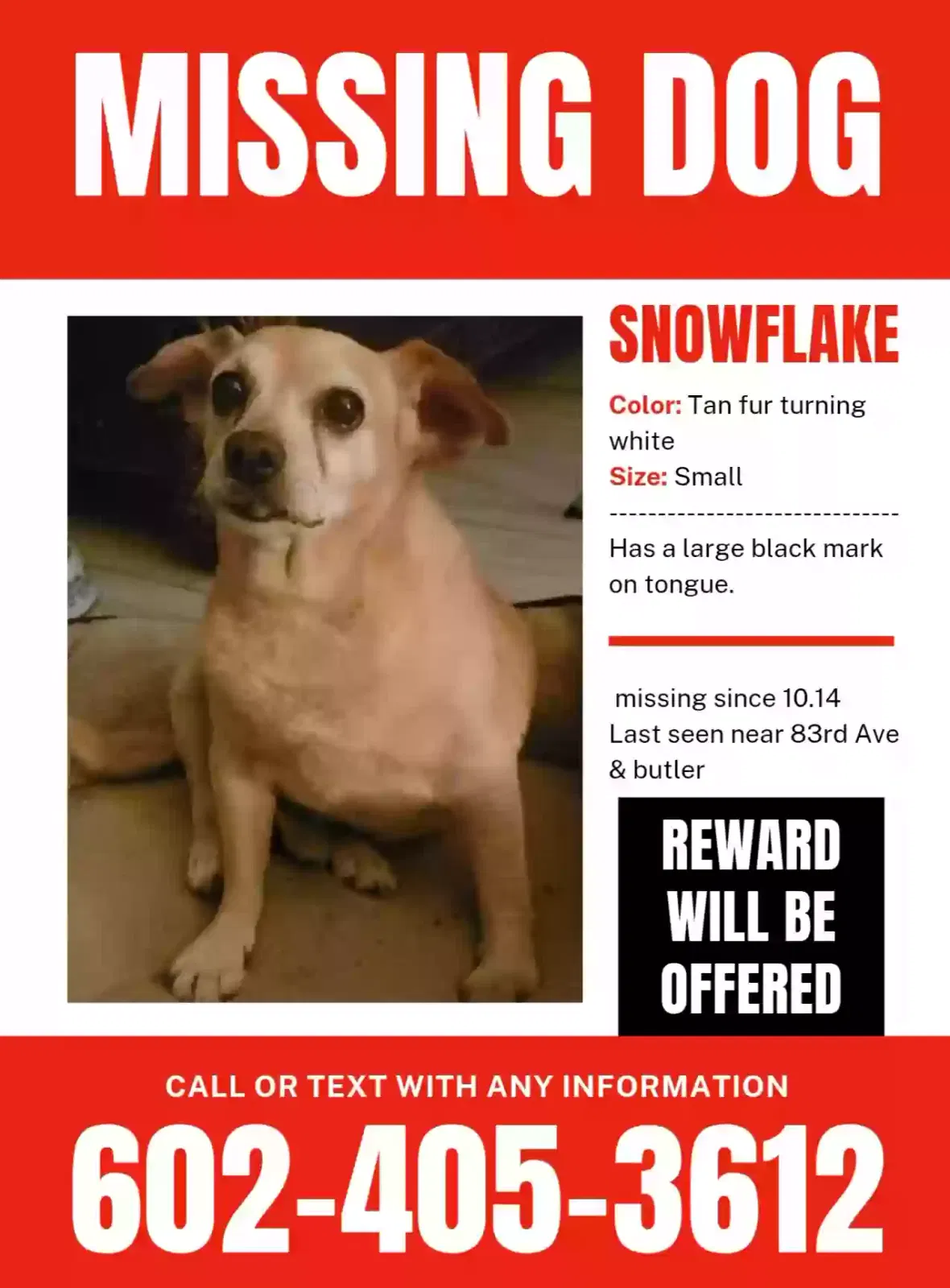 Lost dog in Peoria, AZ, 85345