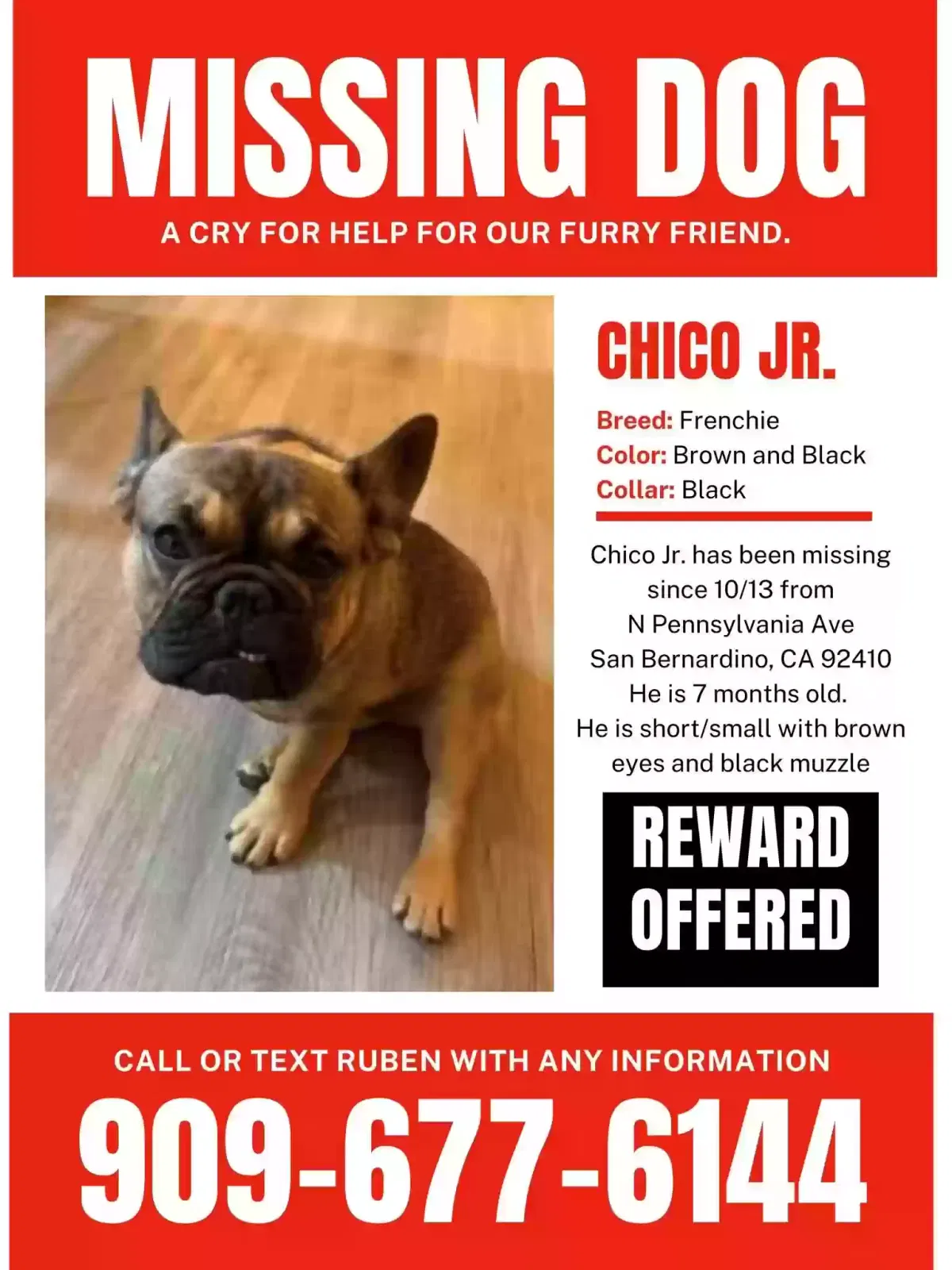 Lost dog in San Bernardino, CA, 92410