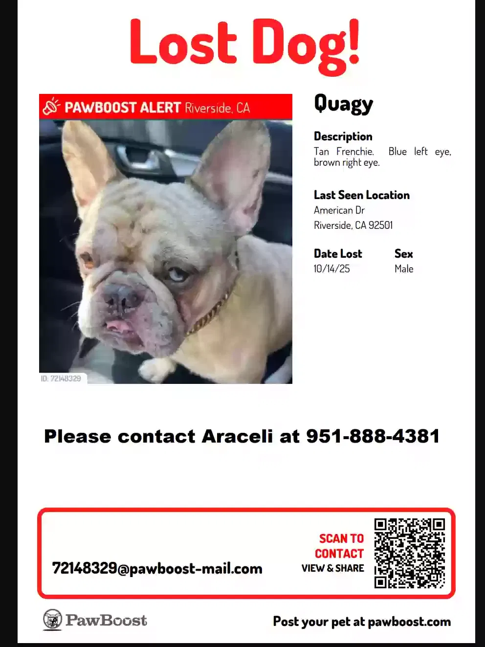 Lost dog in Riverside, CA, 92501