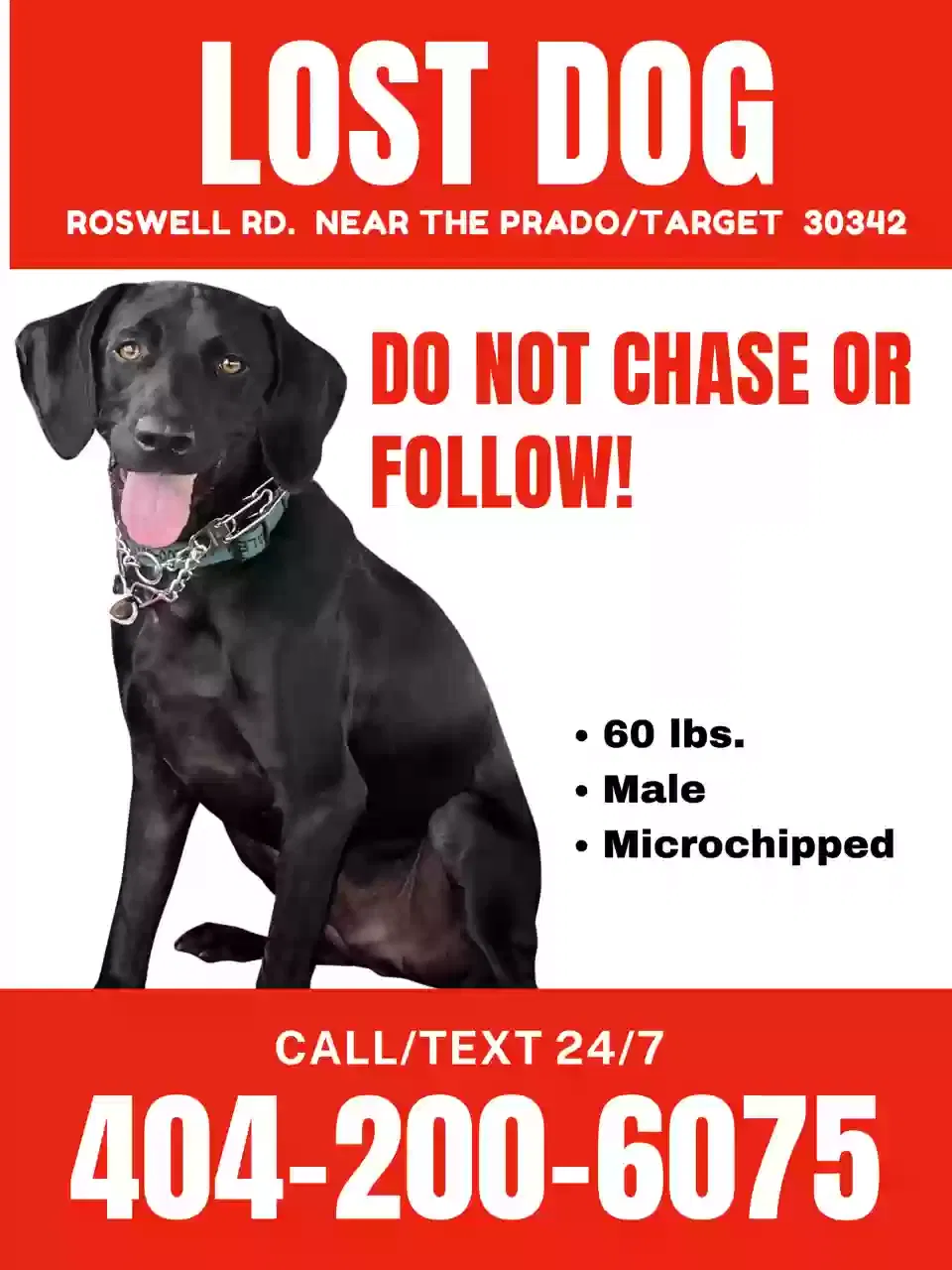 Lost dog in Atlanta, GA, 30342