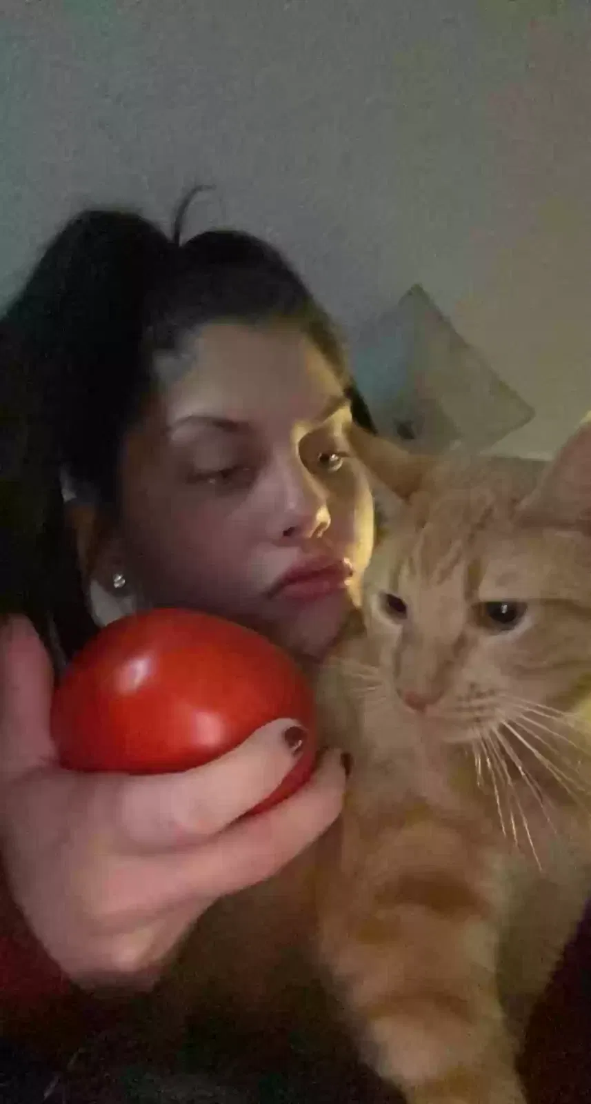 Lost cat in Eustis, FL, 32726