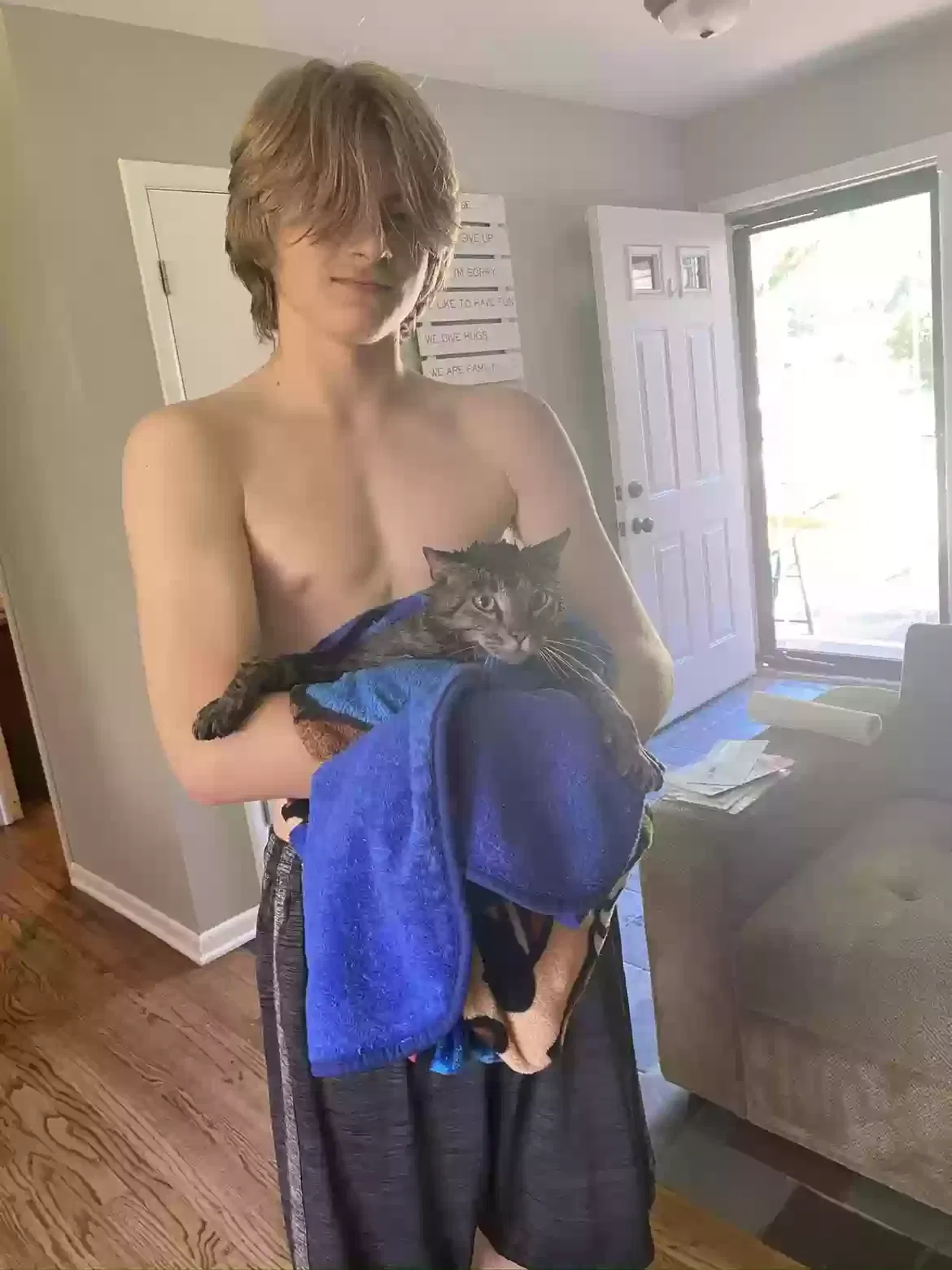 Lost cat in Munfordville, KY, 42765