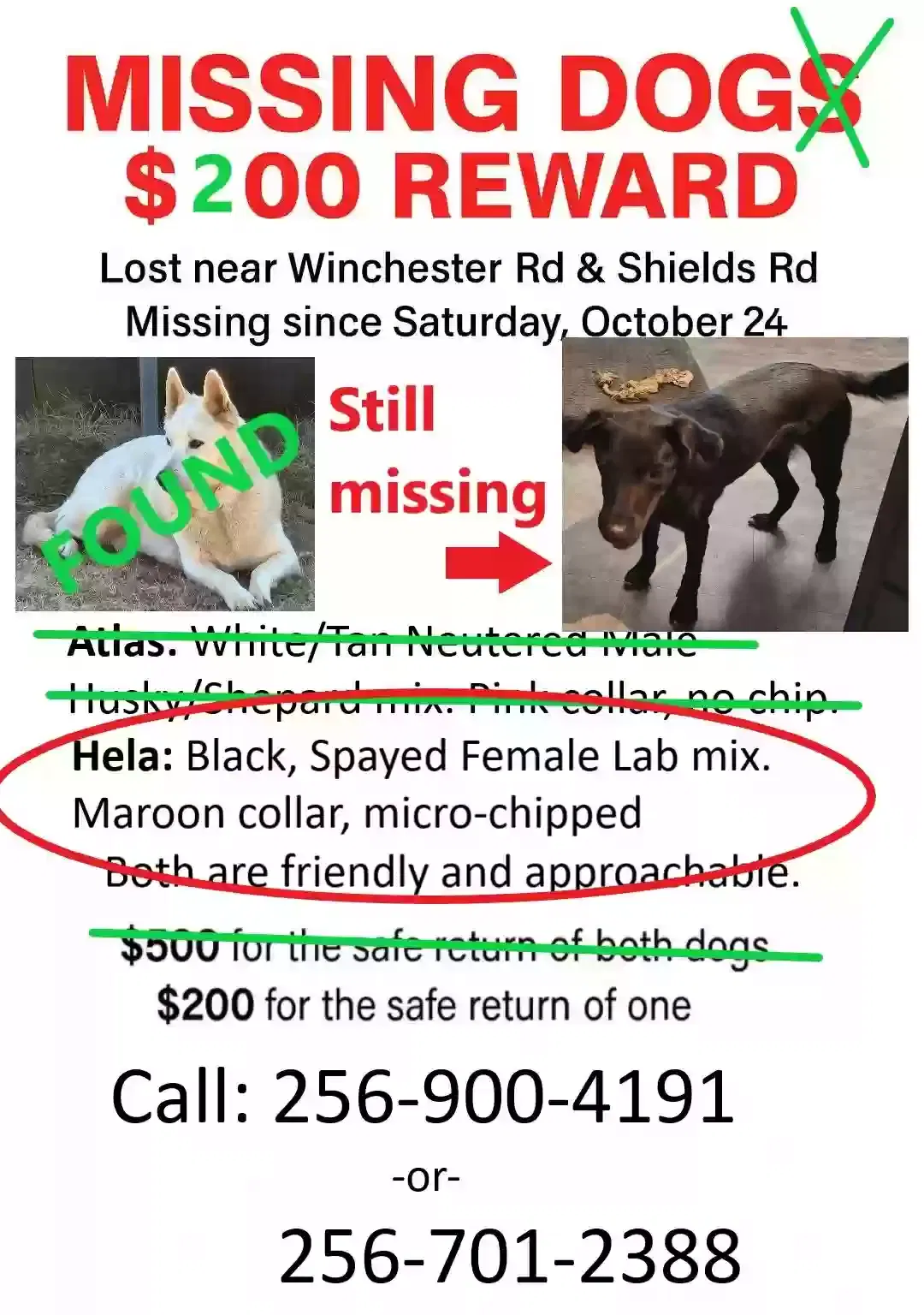 Lost dog in Huntsville, AL, 35811