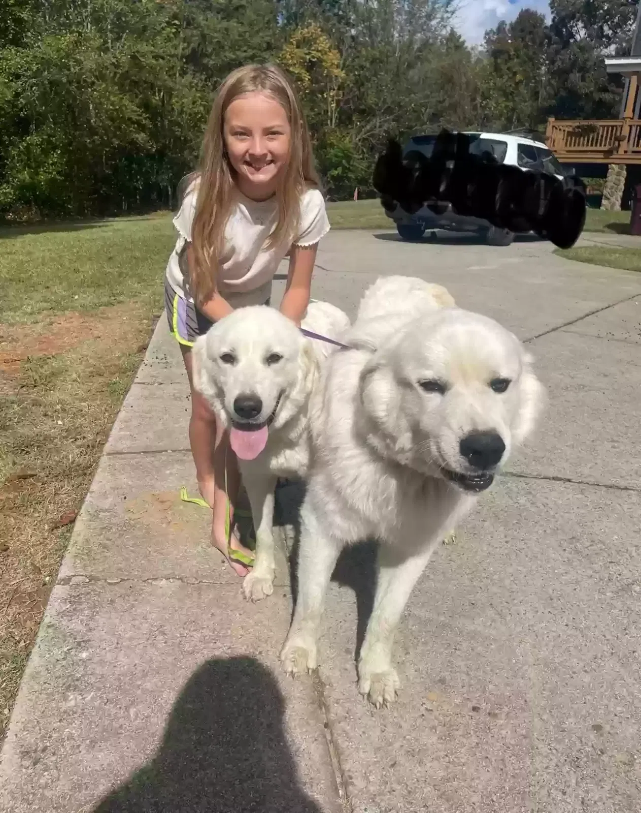 Lost dog in China Grove, NC, 28023
