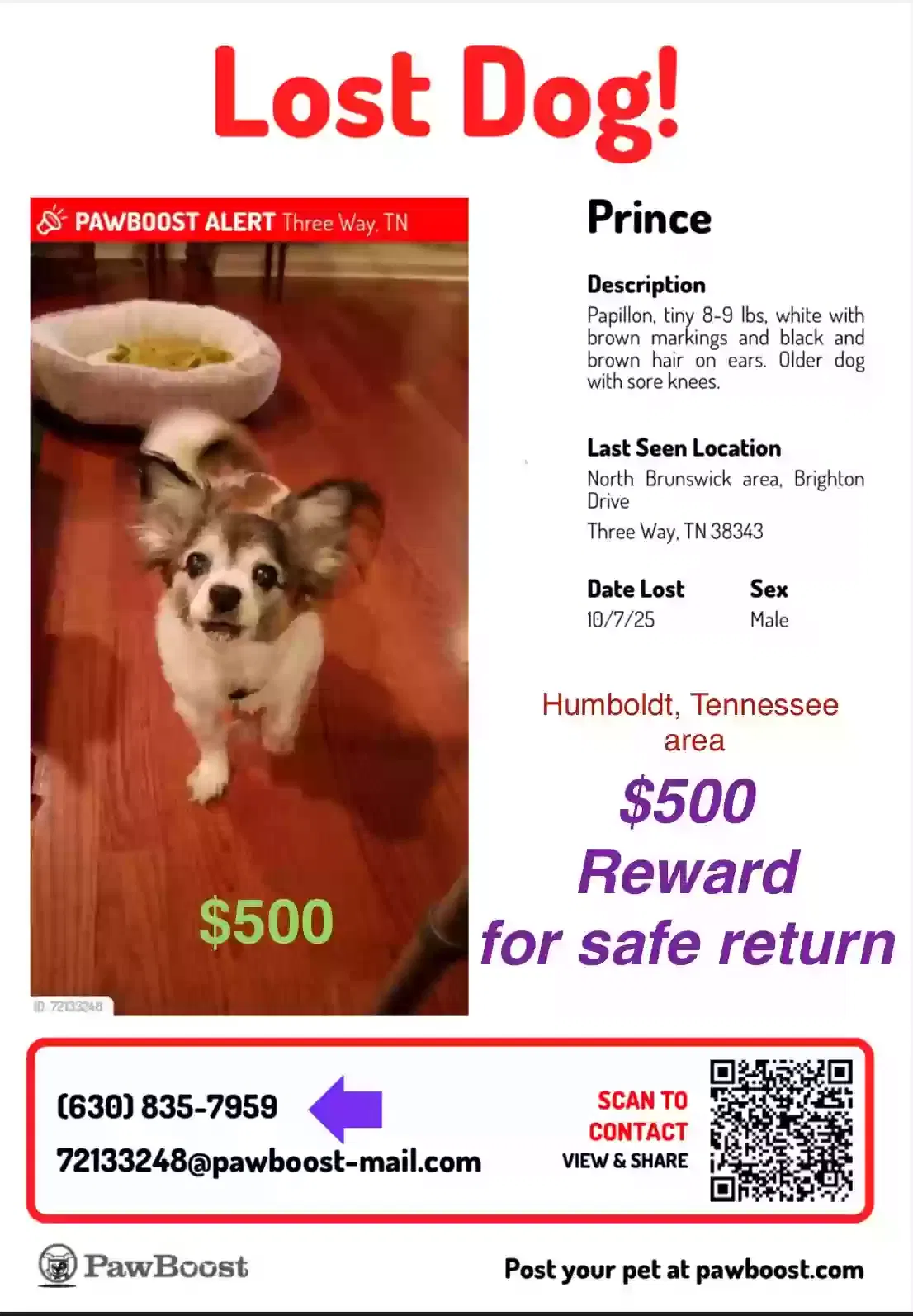 Lost dog in Humboldt, TN, 38343