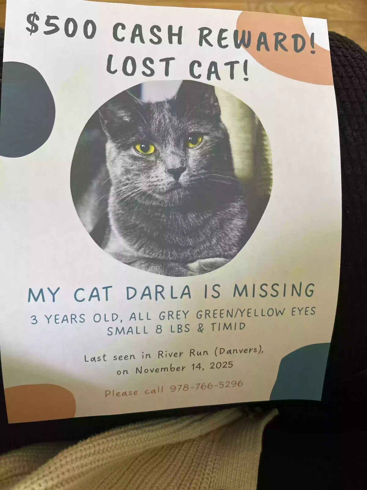 Lost cat in Danvers, MA, 1923