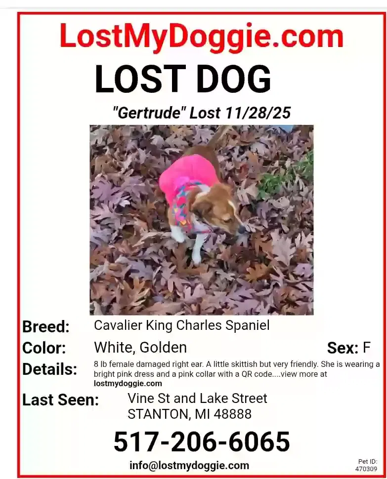 Lost dog in Stanton, MI, 48888