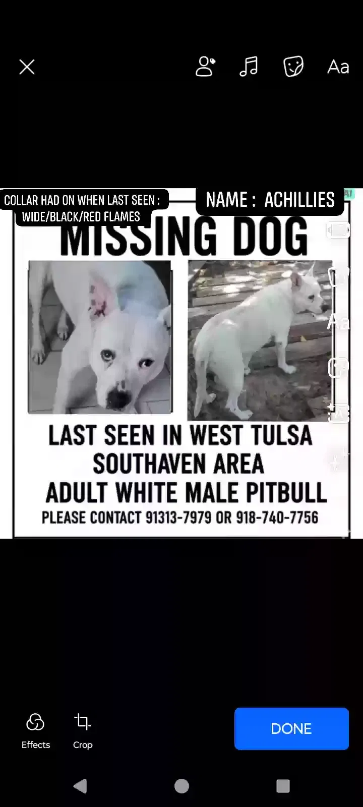 Lost dog in Tulsa, OK, 74107