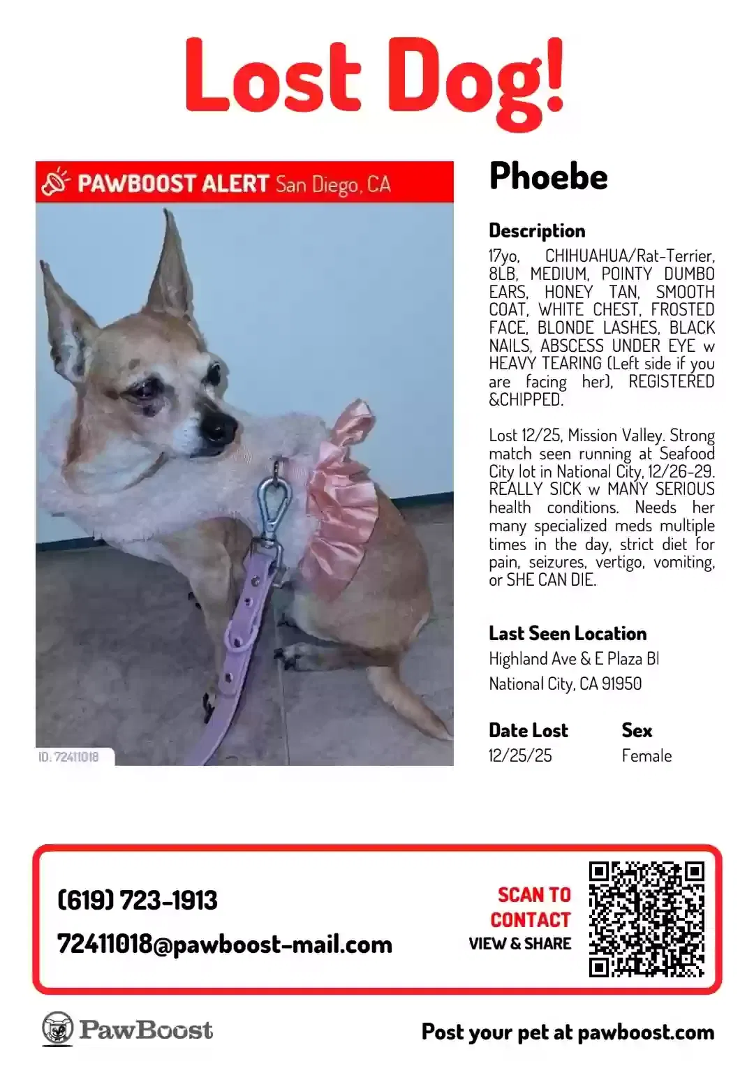 Lost dog in San Diego, CA, 92108