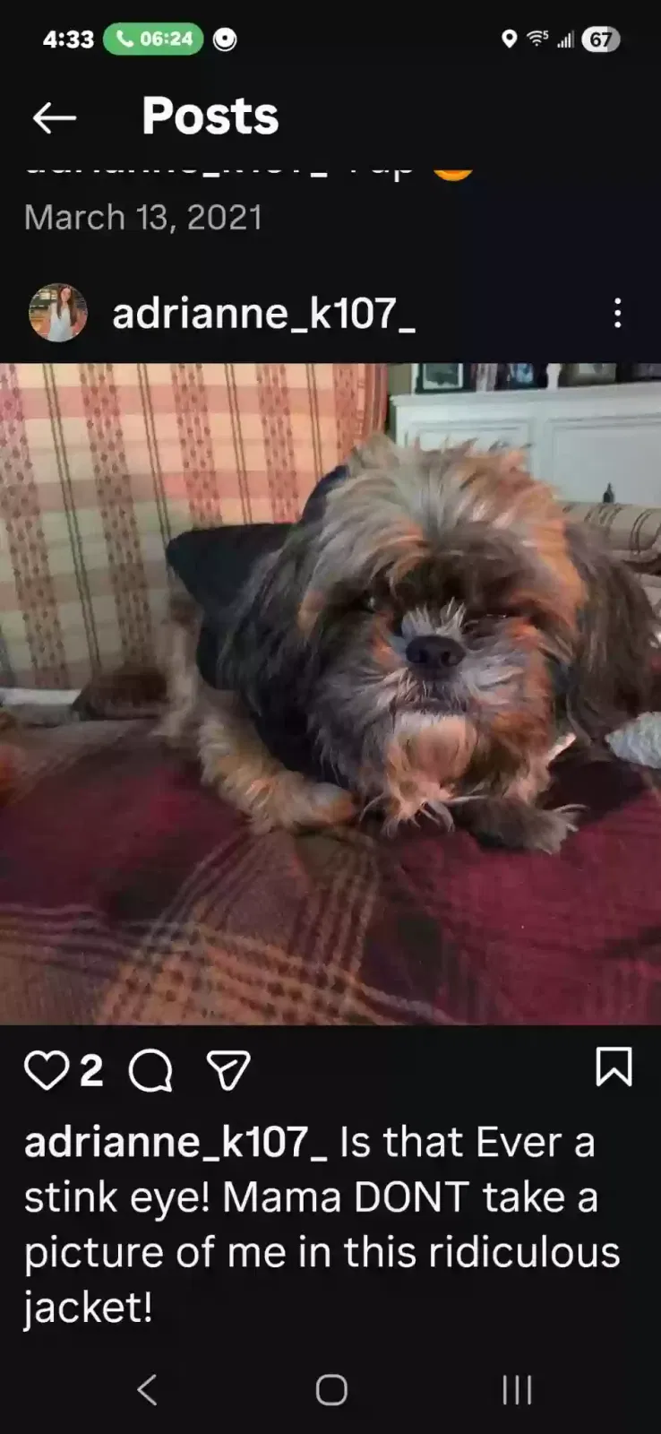 Lost dog in Houston, TX, 77068