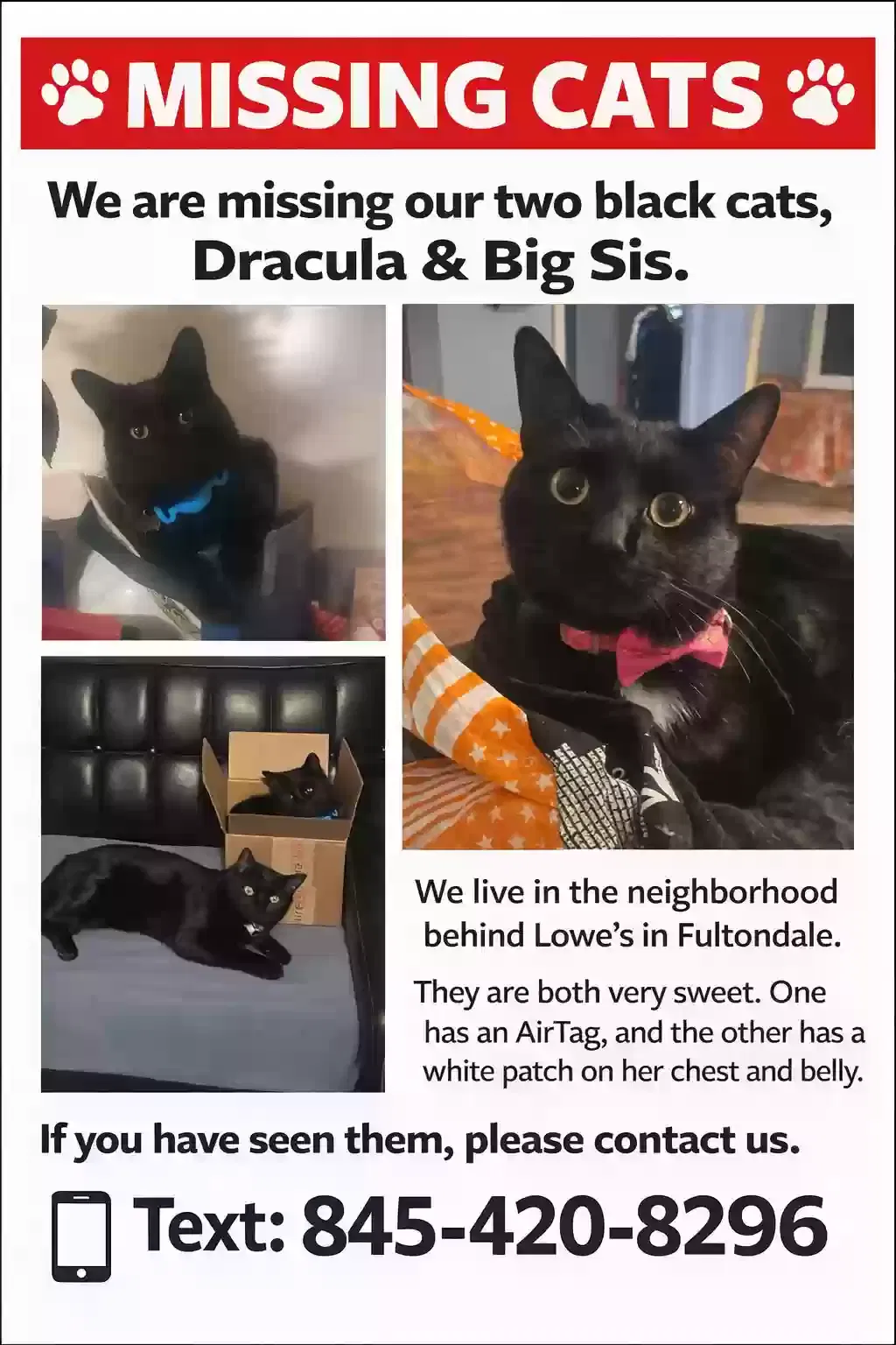 Lost cat in Fultondale, AL, 35068