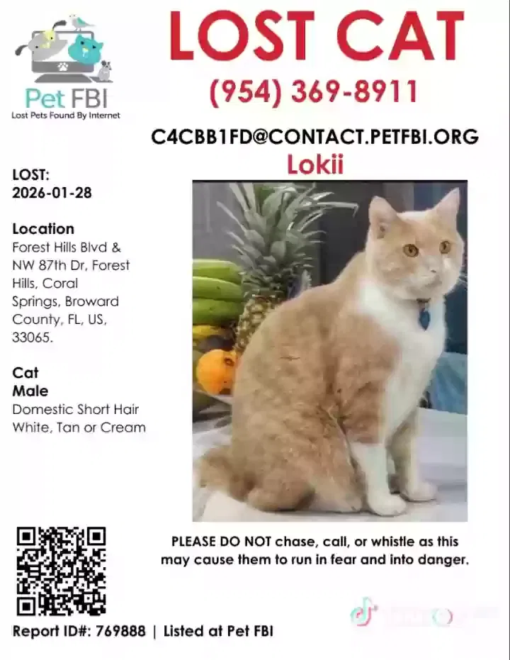 Lost cat in Pompano Beach, FL, 33065