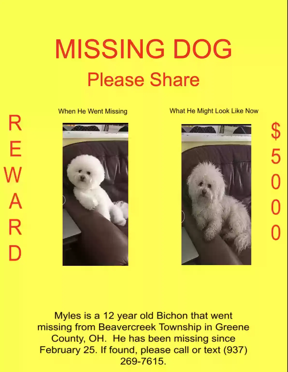 Lost dog in Xenia, OH, 45385