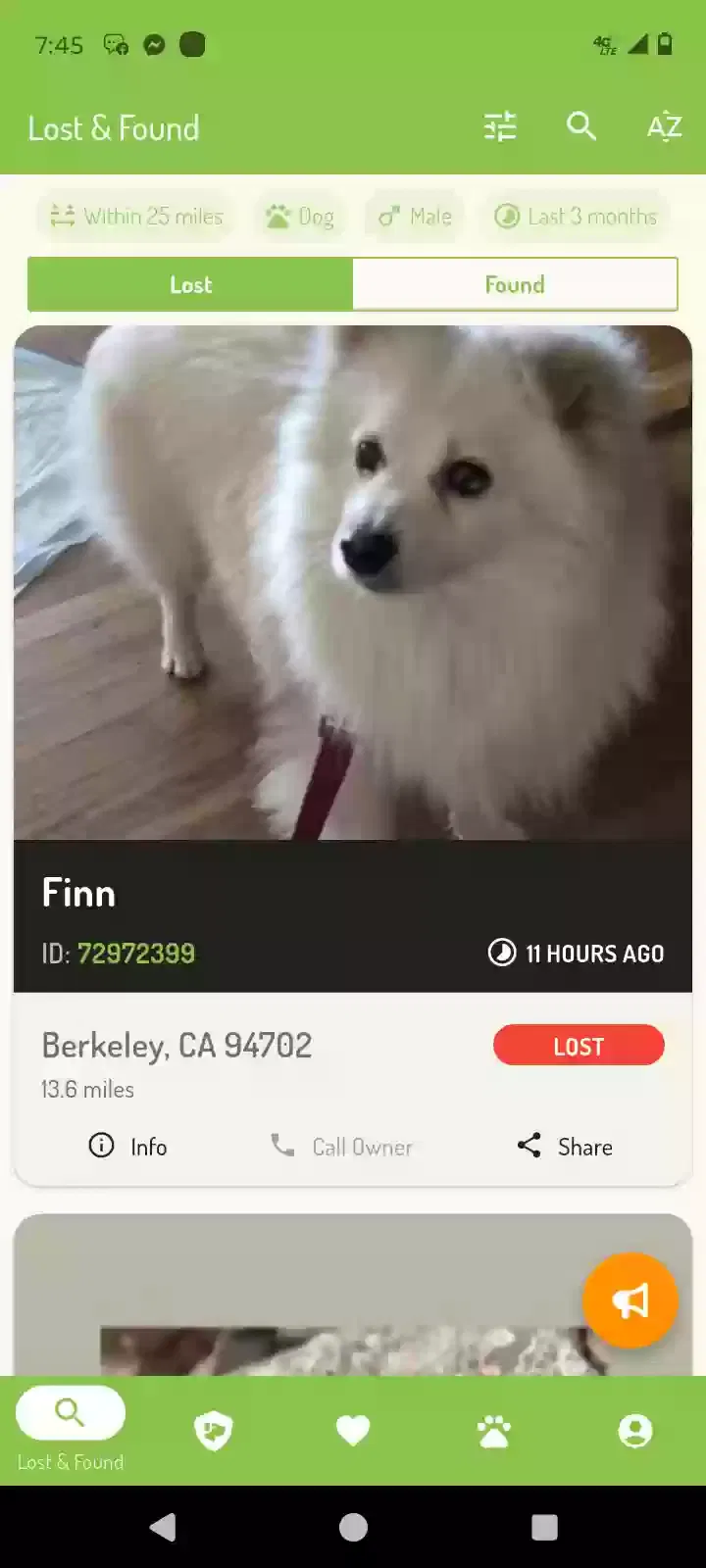 Lost dog in Berkeley, CA, 94708