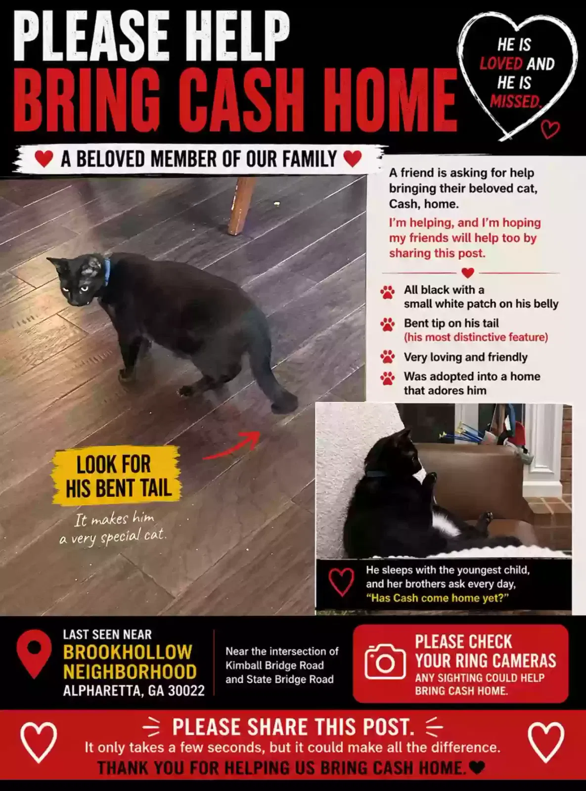Lost cat in Alpharetta, GA, 30022