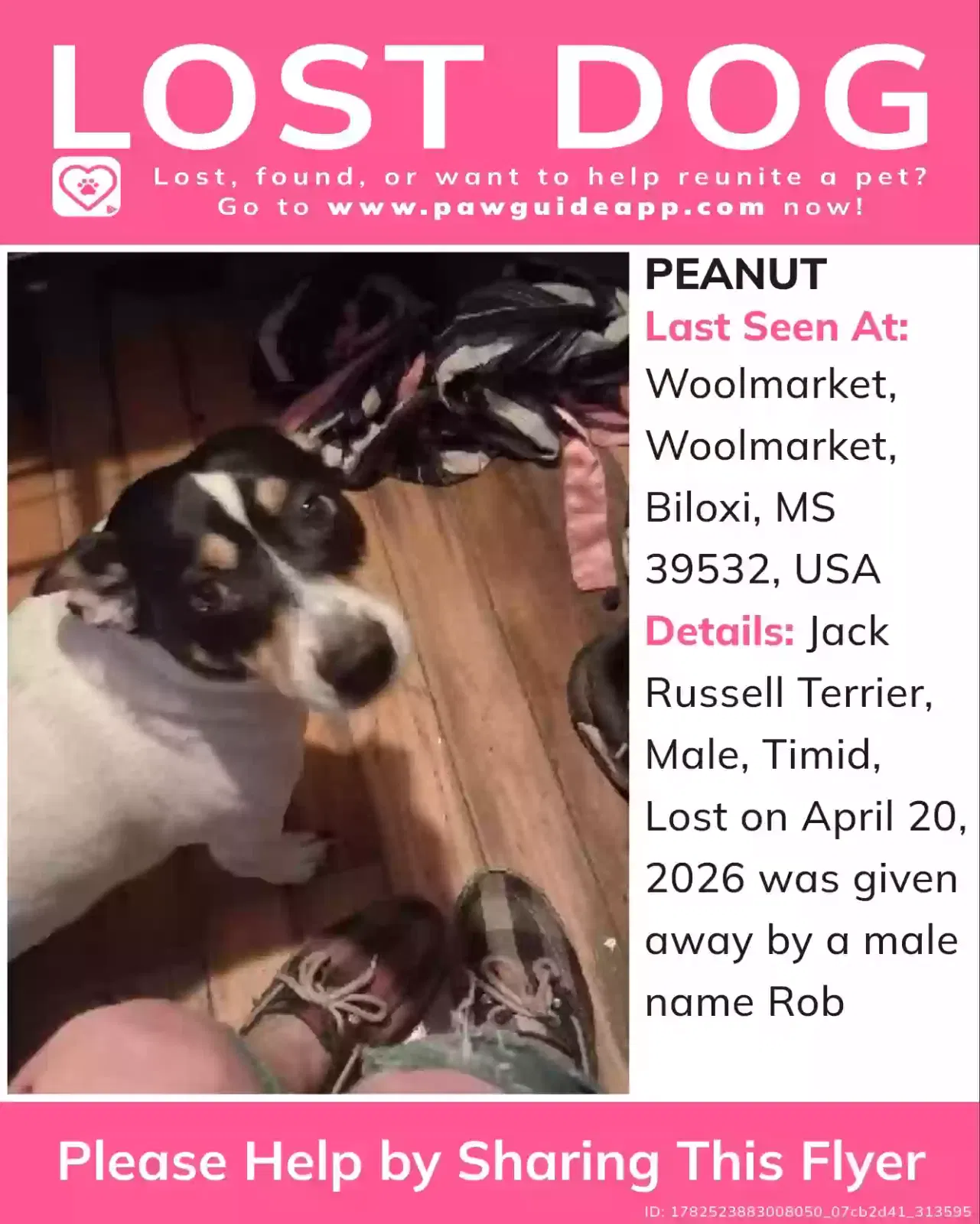 Lost dog in Biloxi, MS, 39532