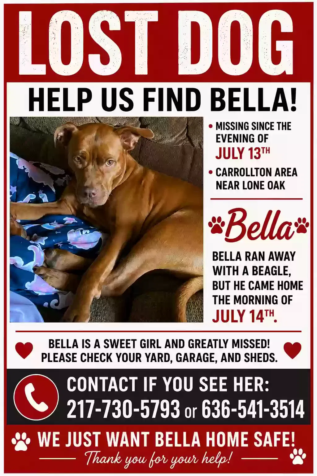 Lost dog in Carrollton, IL, 62016