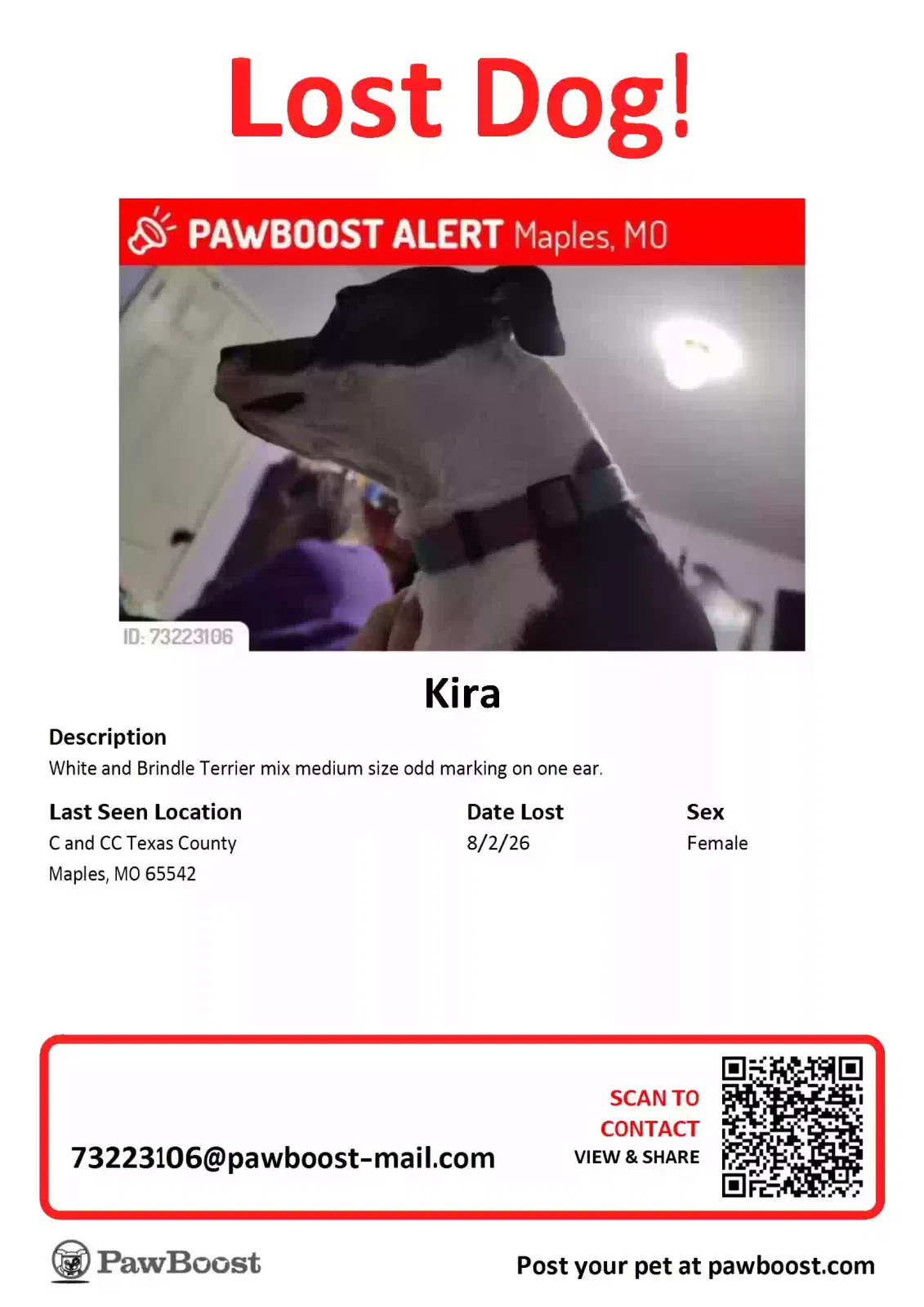 Lost dog in Licking, MO, 65542