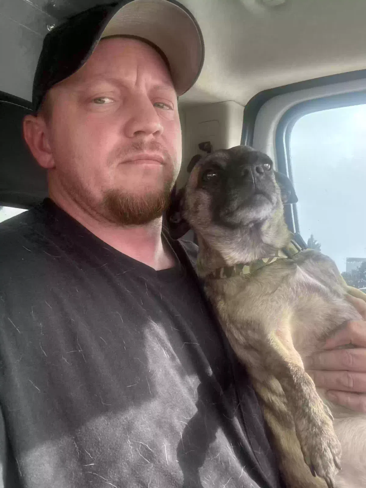 Lost dog in Denver, CO, 80233