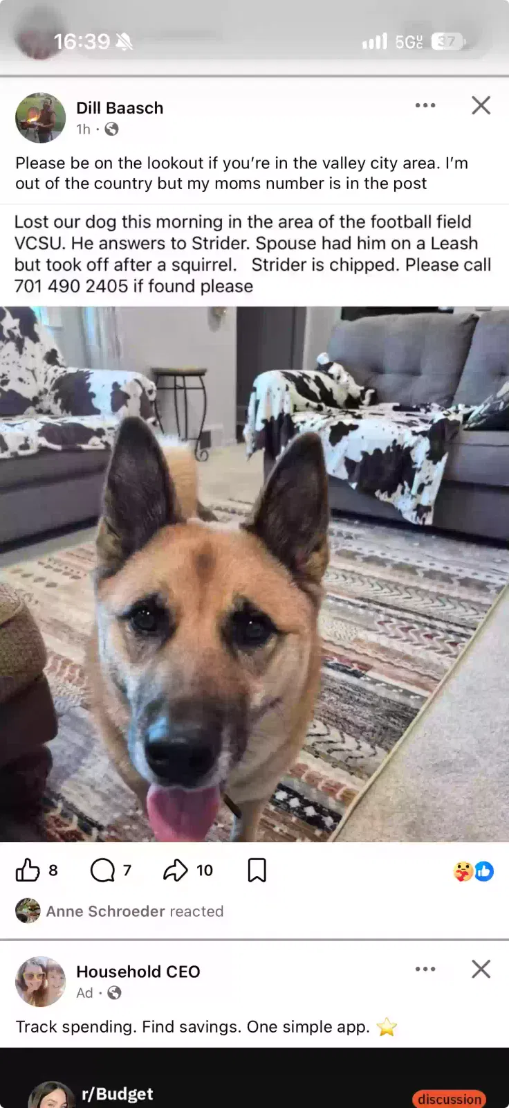 Lost dog in Valley City, ND, 58072