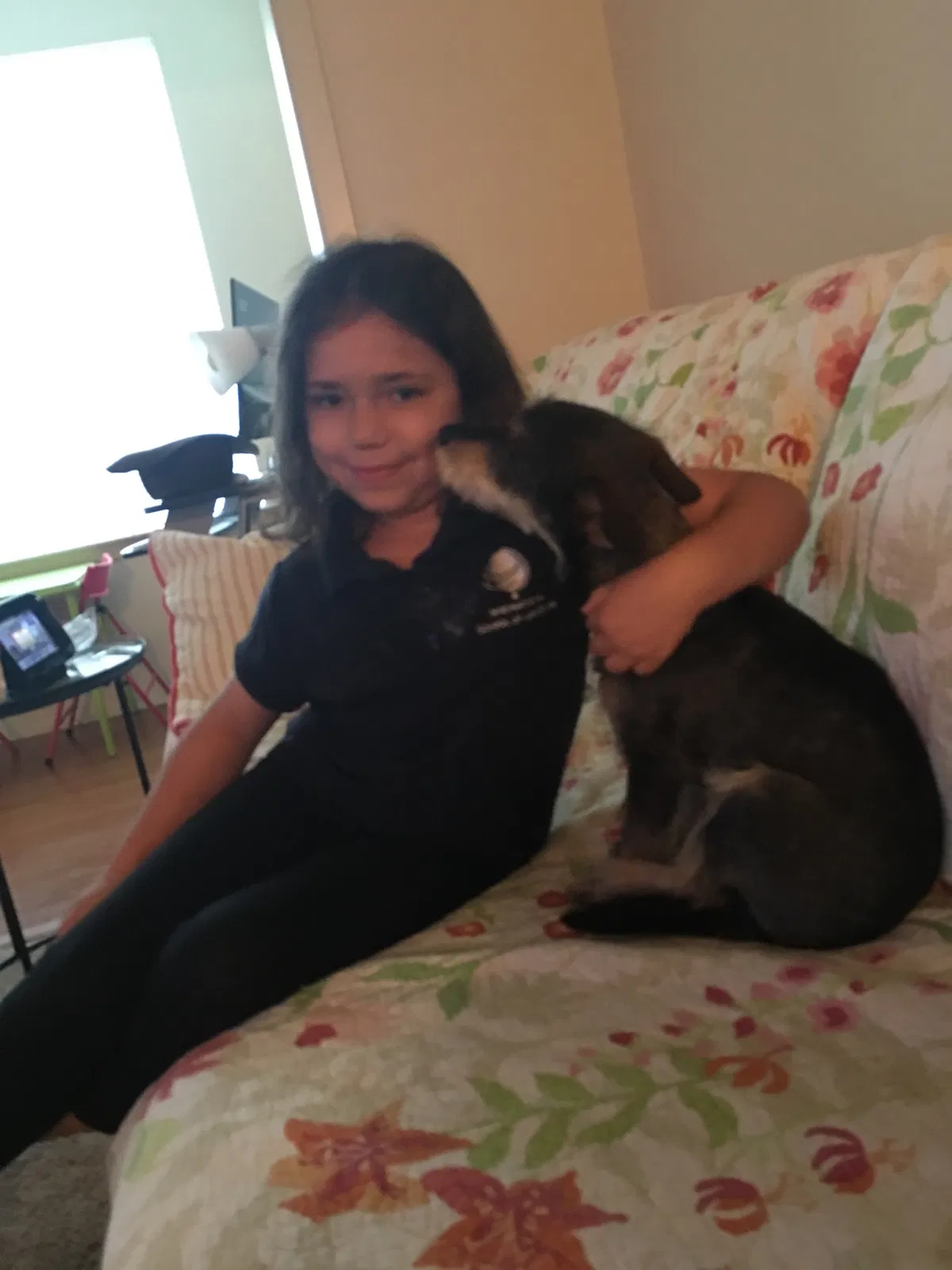 Found dog in Nashville, TN, 37205