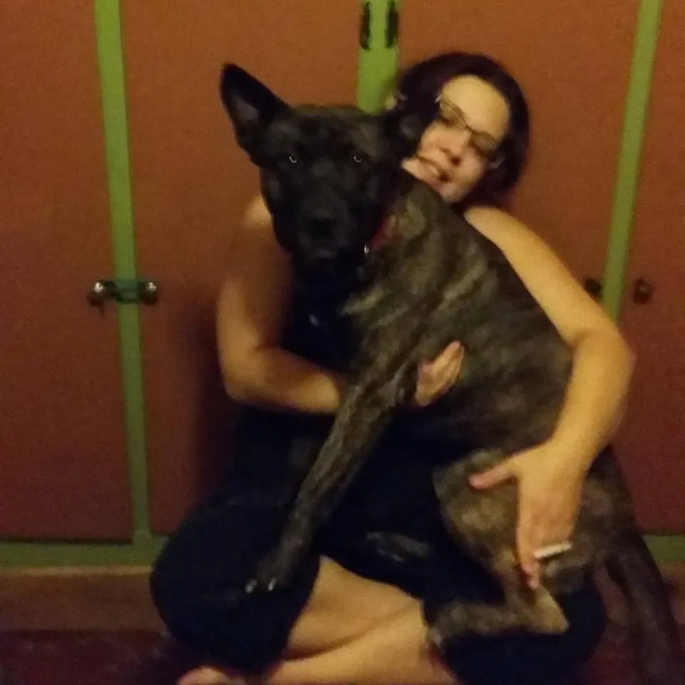 Found dog in Rich Square, NC, 27869