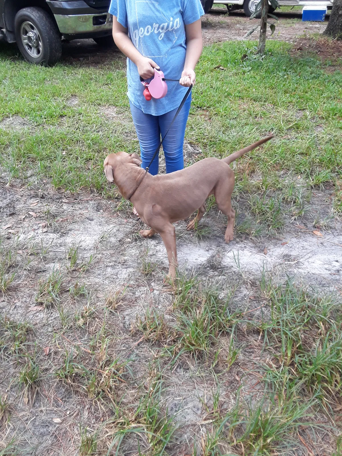 Found dog in San Mateo, FL, 32187