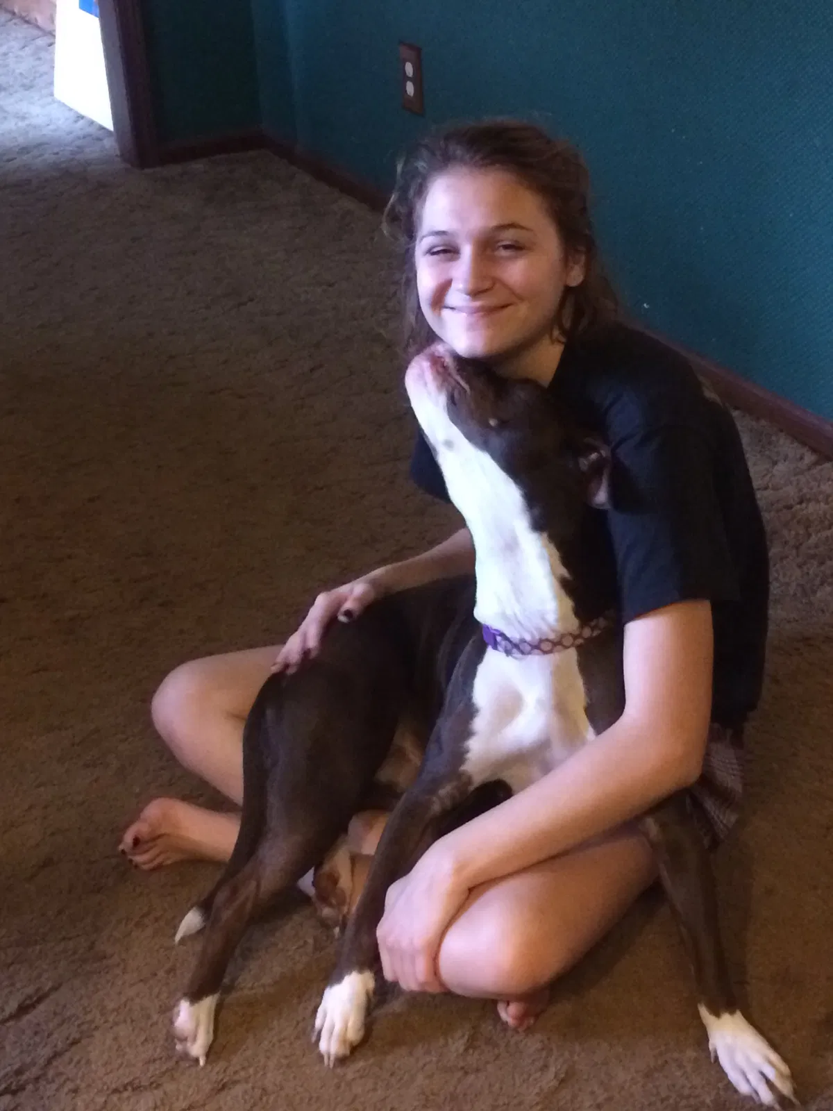 Found dog in Indianapolis, IN, 46202