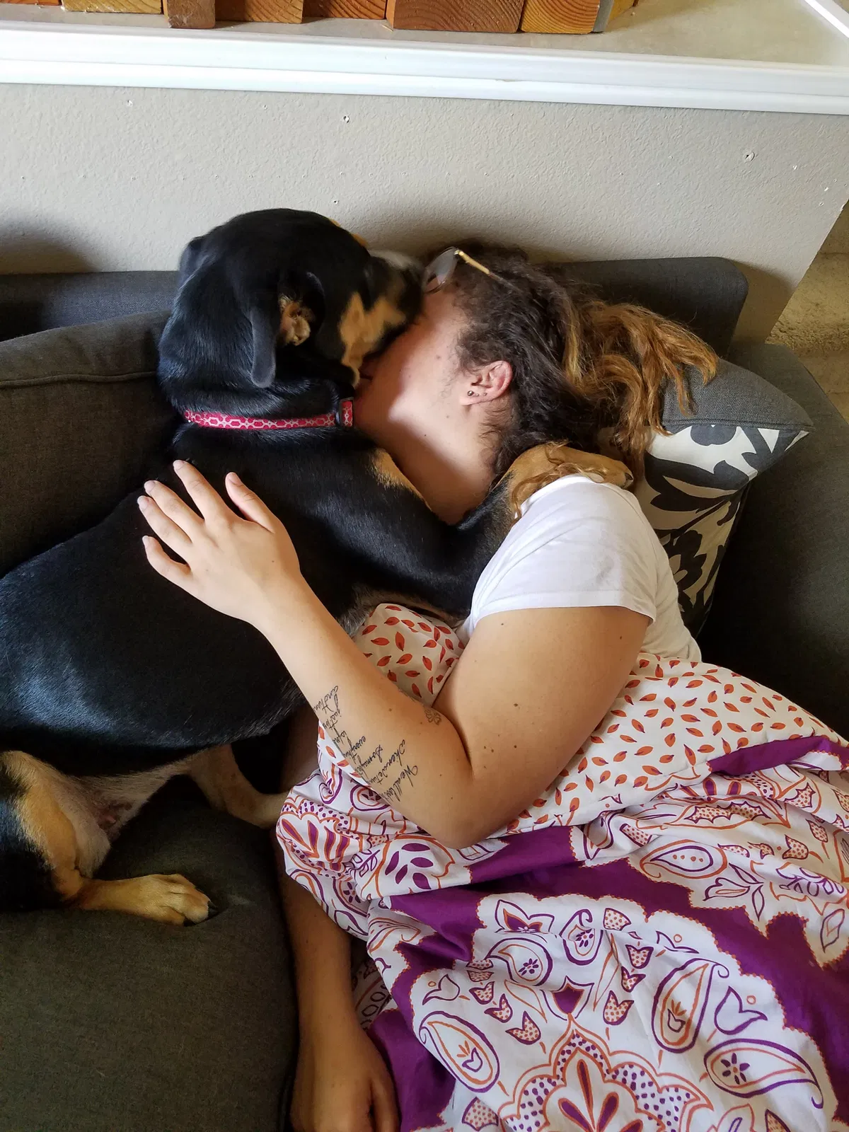 Found dog in Colorado Springs, CO, 80911