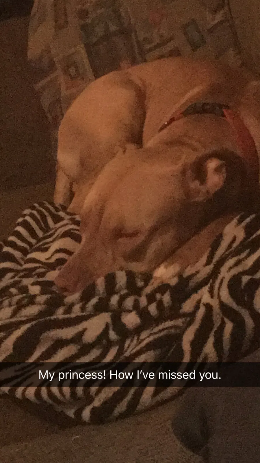 Found dog in Stockton, CA, 95205