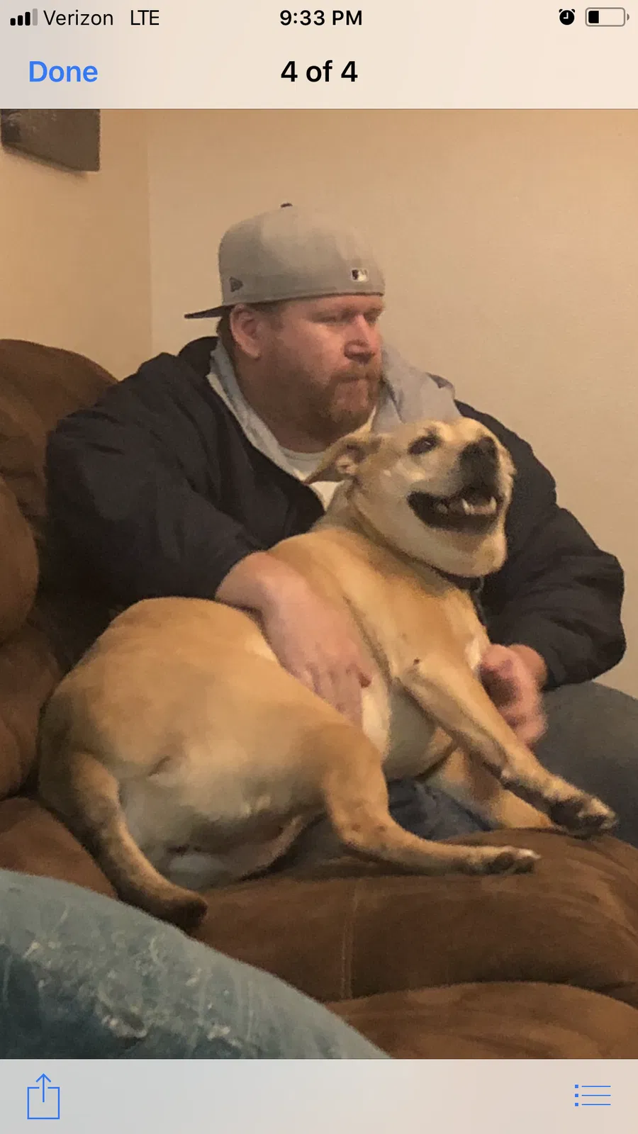 Found dog in Sacramento, CA, 95820