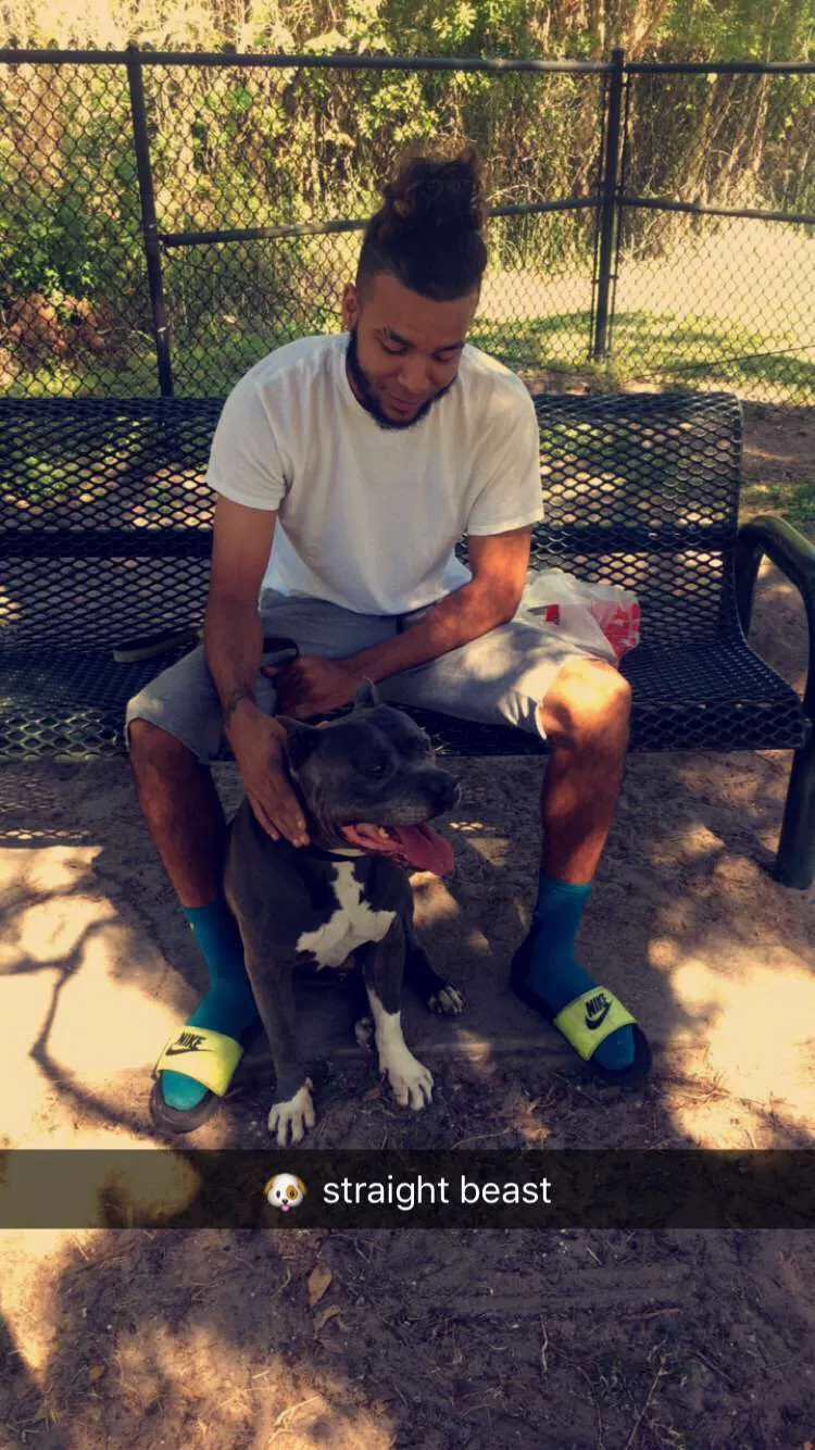 Found dog in Orlando, FL, 32811