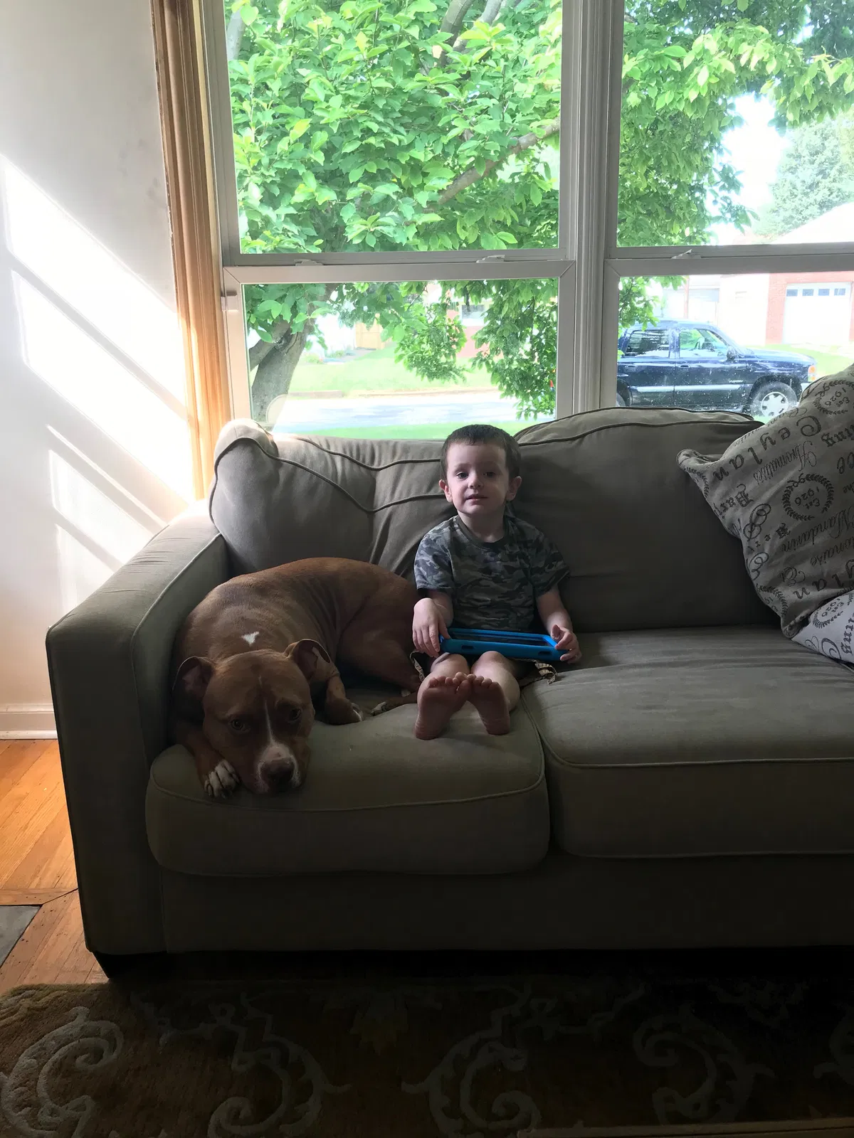 Found dog in Indianapolis, IN, 46219