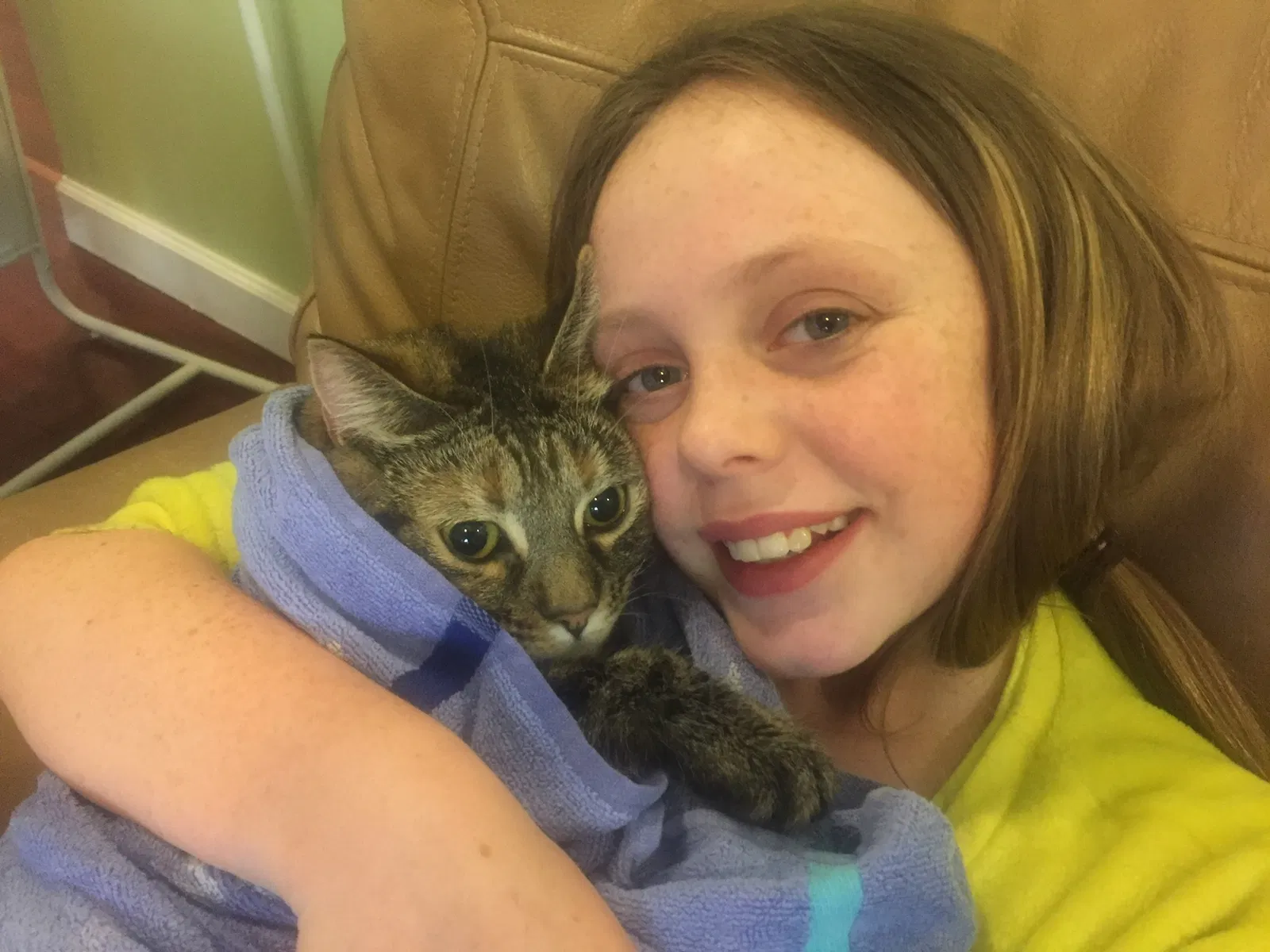Found cat in Clarksville, TN, 37043