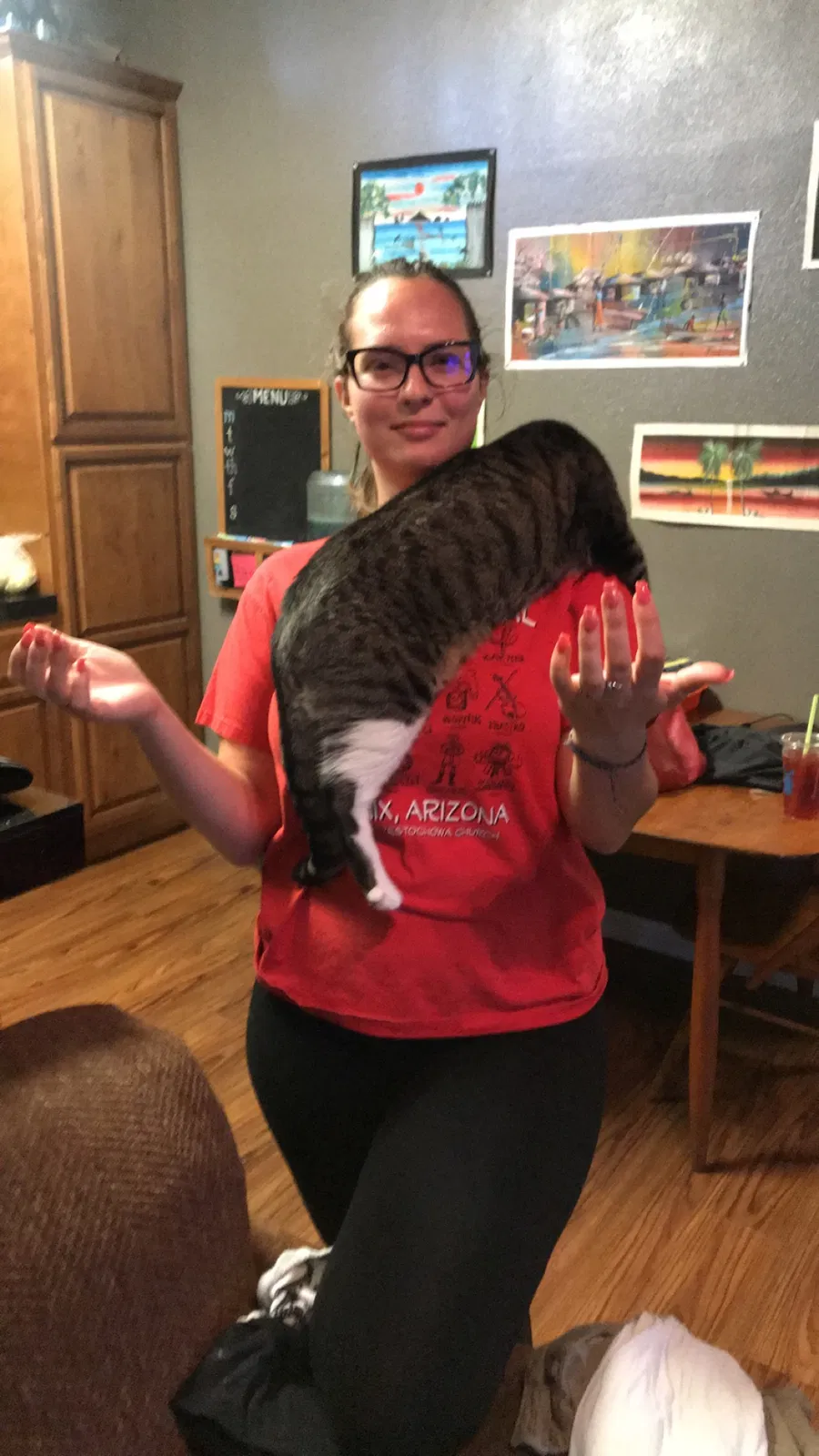Found cat in Mesa, AZ, 85202