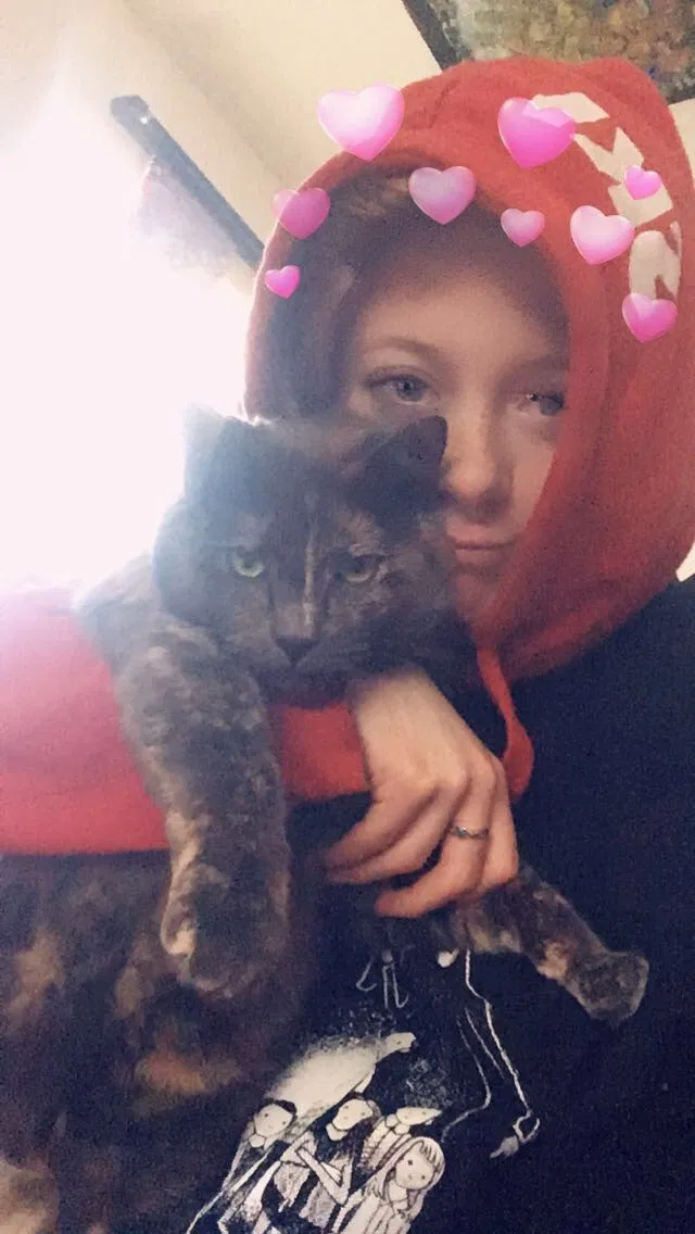 Found cat in Everett, WA, 98201