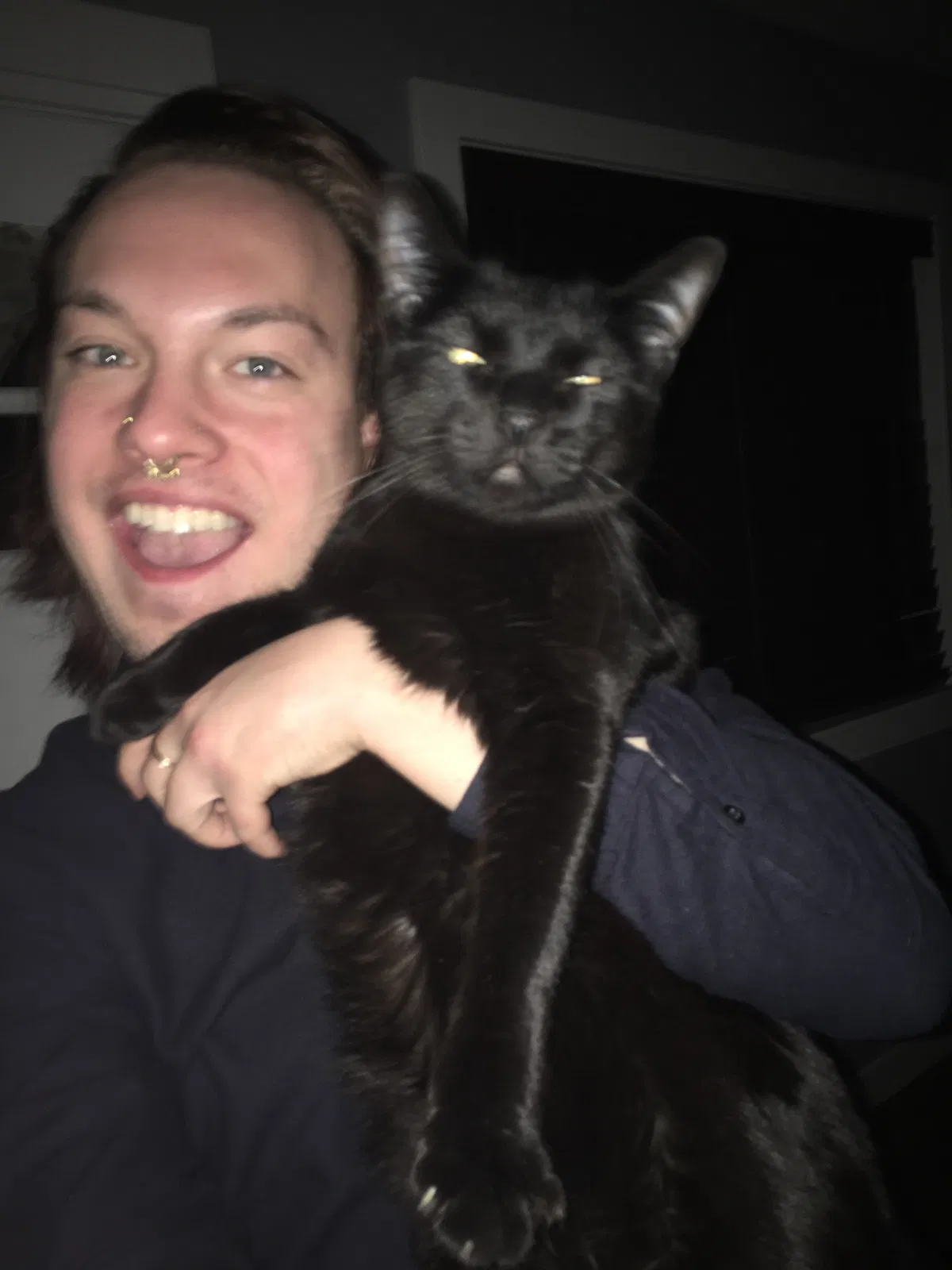 Found cat in Salt Lake City, UT, 84103