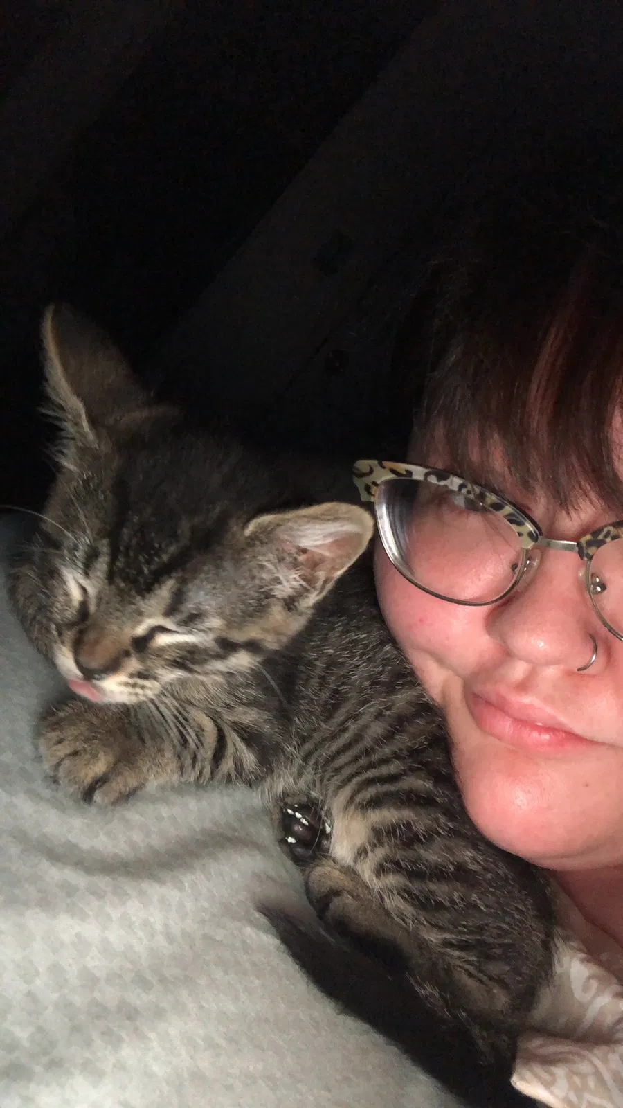 Found cat in La Porte, TX, 77571