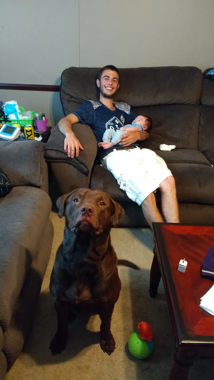 Lost dog in Bells, TN, 38006