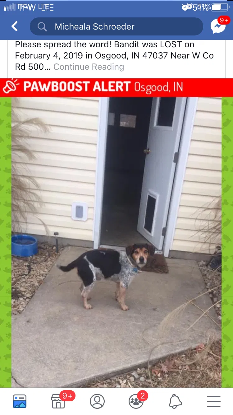 Lost dog in Osgood, IN, 47037