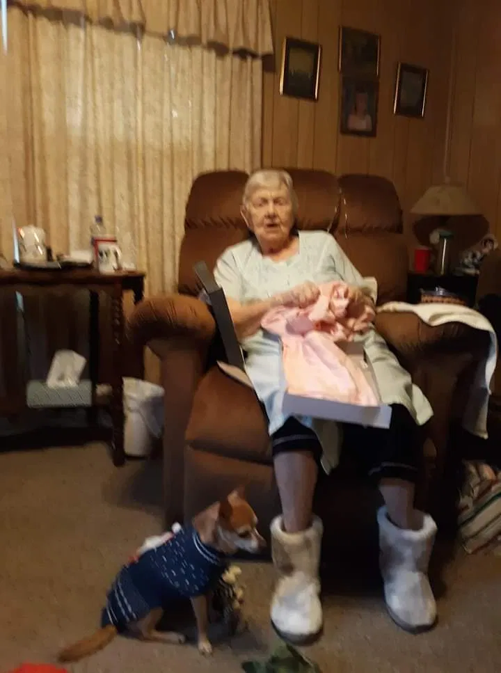 Lost dog in Dalton, GA, 30721