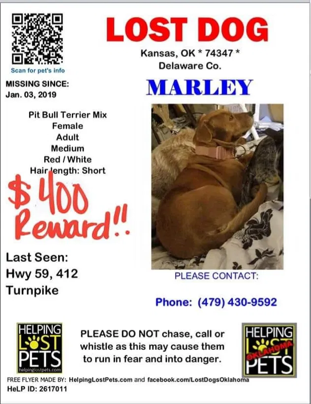 Lost dog in Kansas, OK, 74347