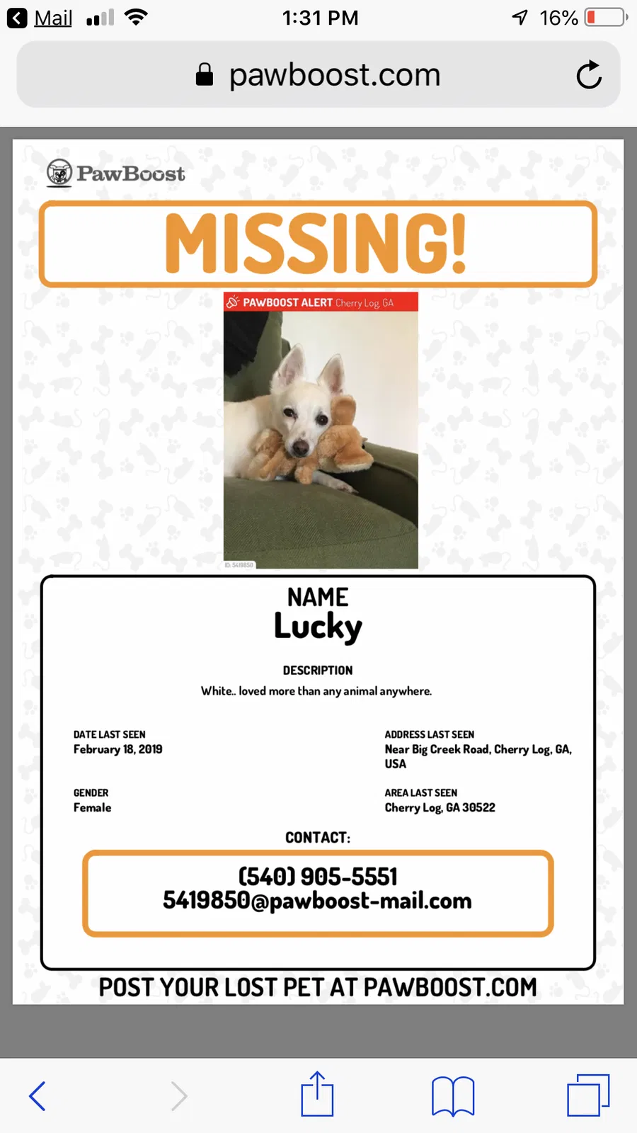 Lost dog in Cherry Log, GA, 30522