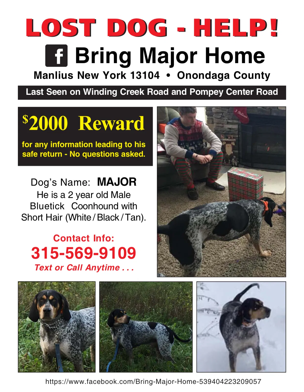 Lost dog in Manlius, NY, 13104