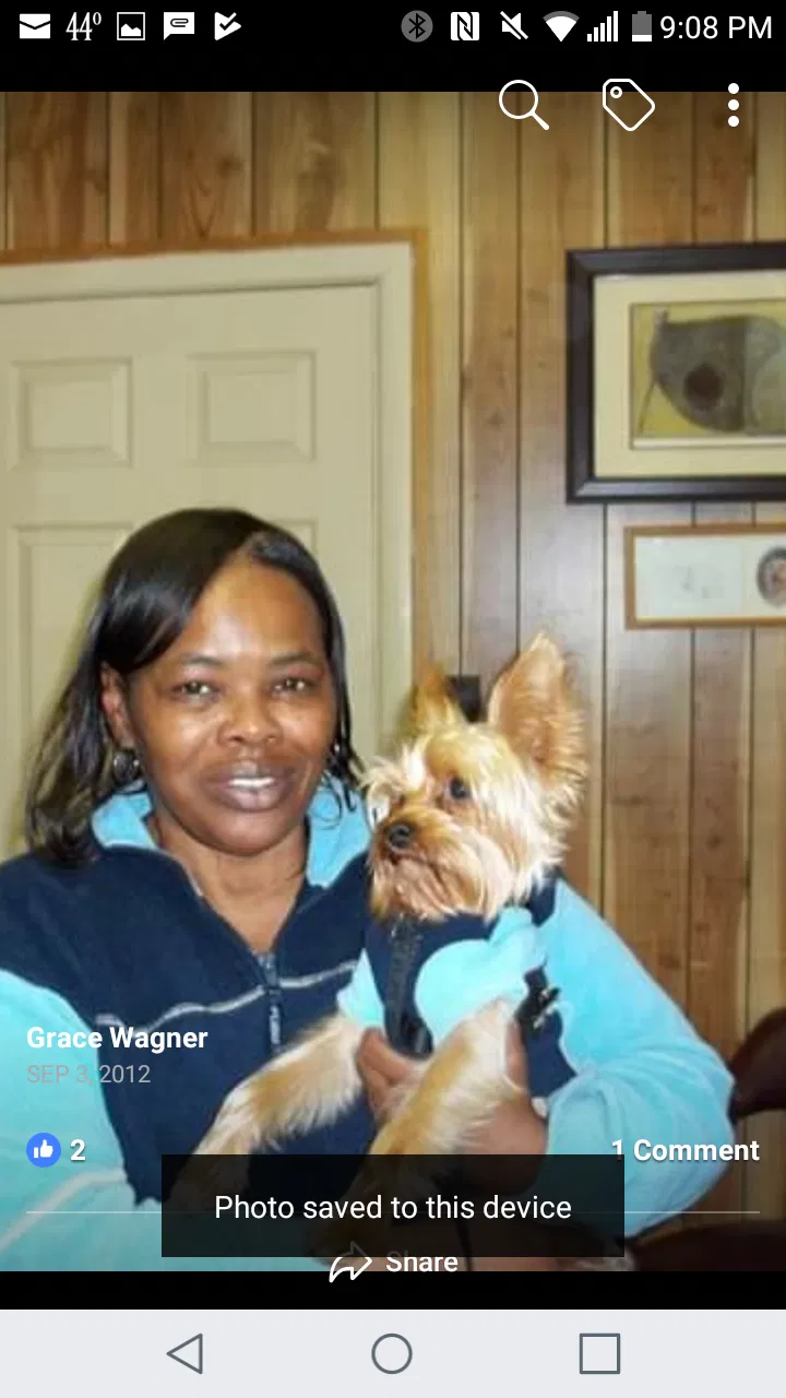 Lost dog in Indianapolis, IN, 46219